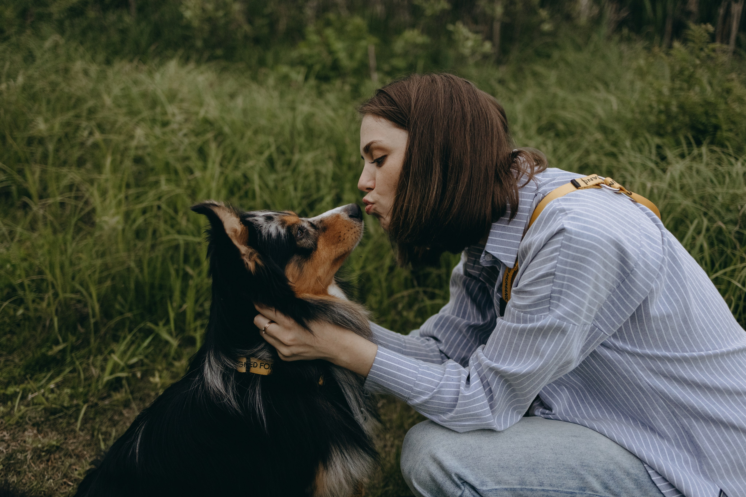 Настя, Никита и их Гром и Мяу. Фотограф — Анималист | Санкт-Петербург