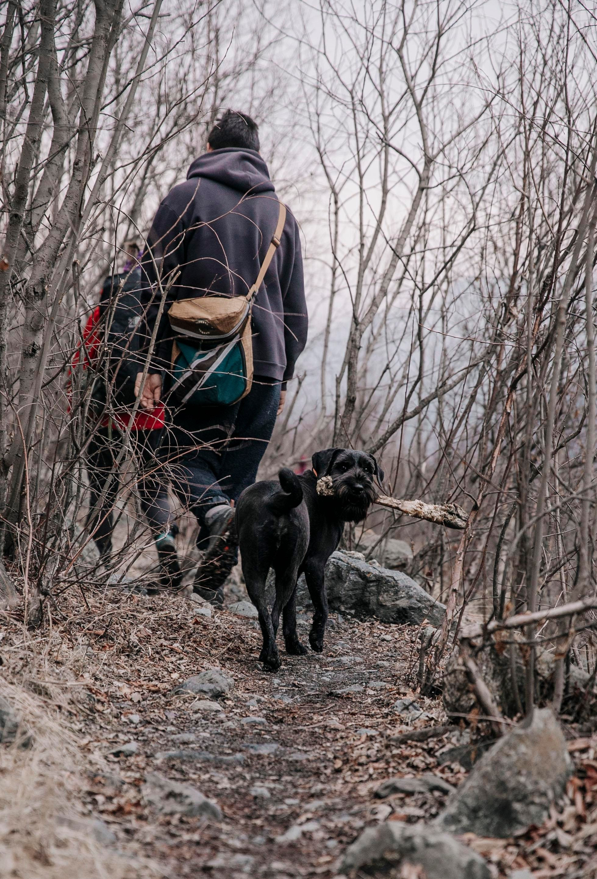 Треккинг / восхождения / активности