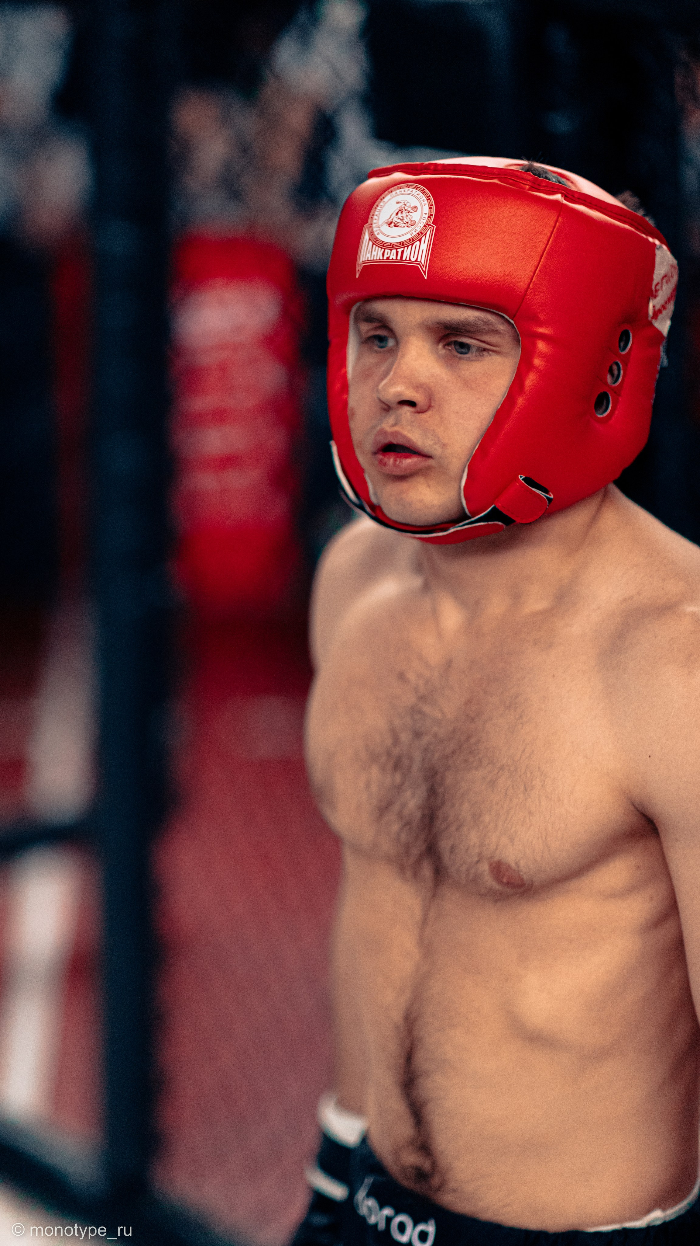 MMA. Бойцовский турнир