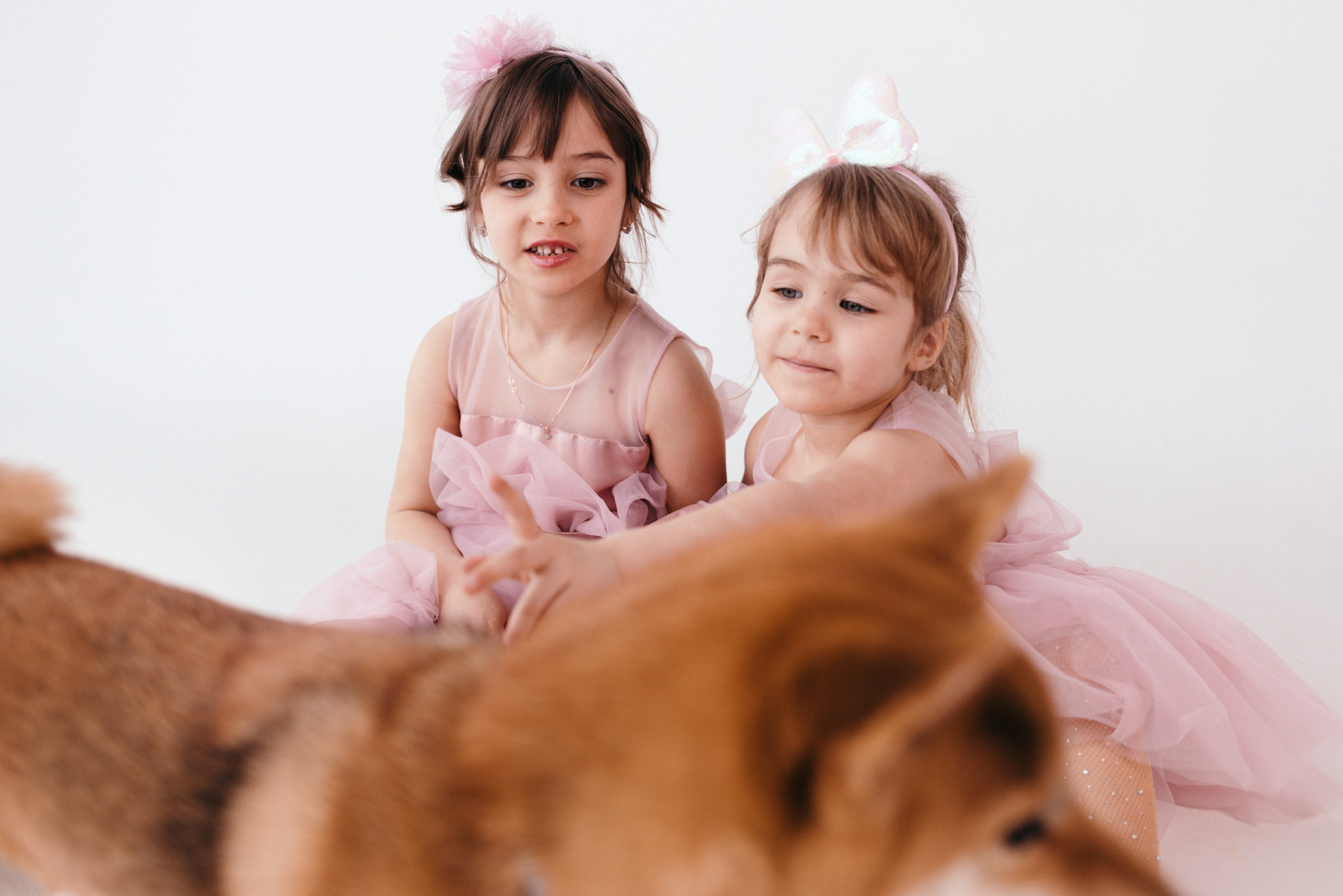 Ирина, Арина, и Саша. Фотограф Елена Кириллова