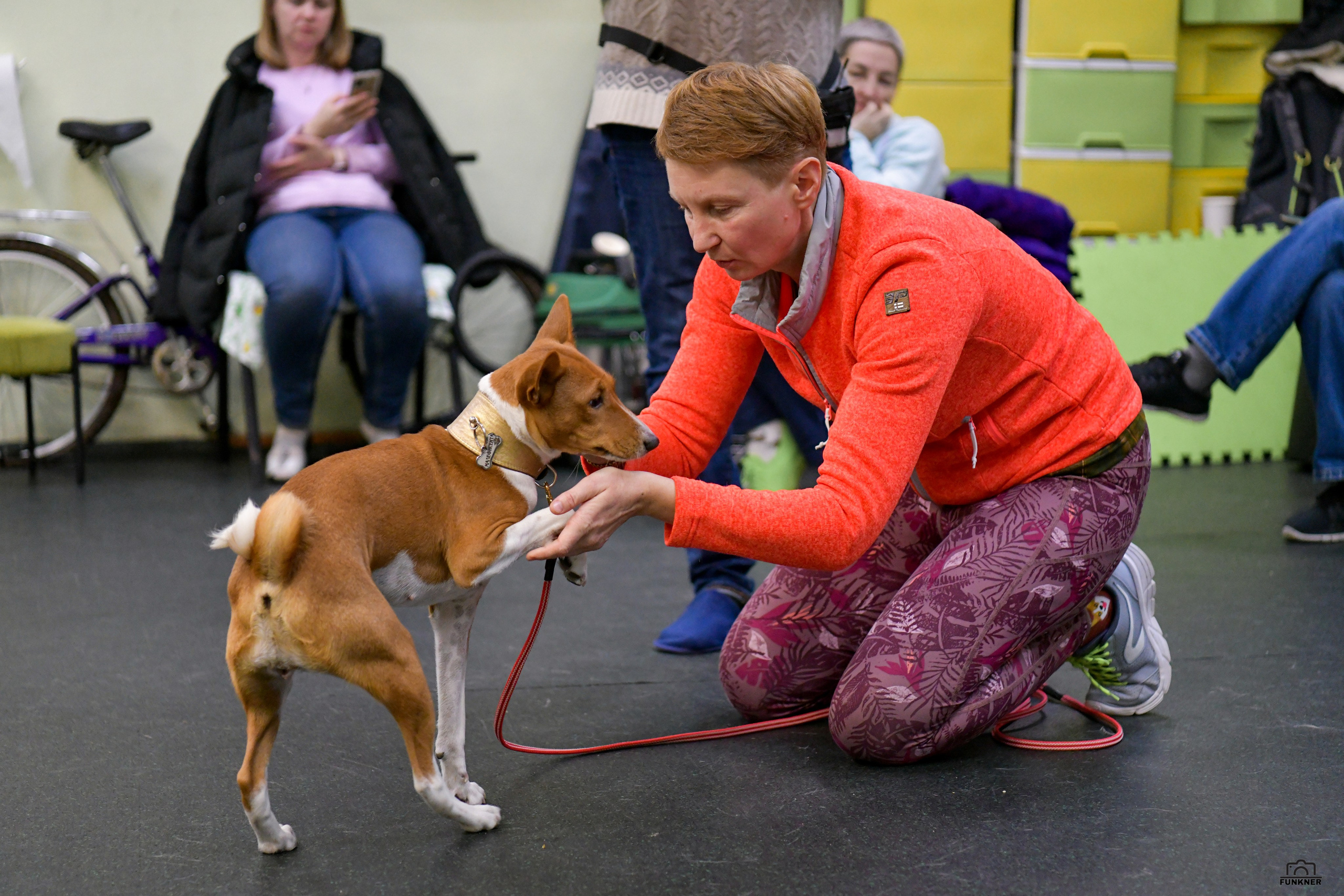 Кинологический клуб «Бодрый хвост». Свой взгляд через объектив