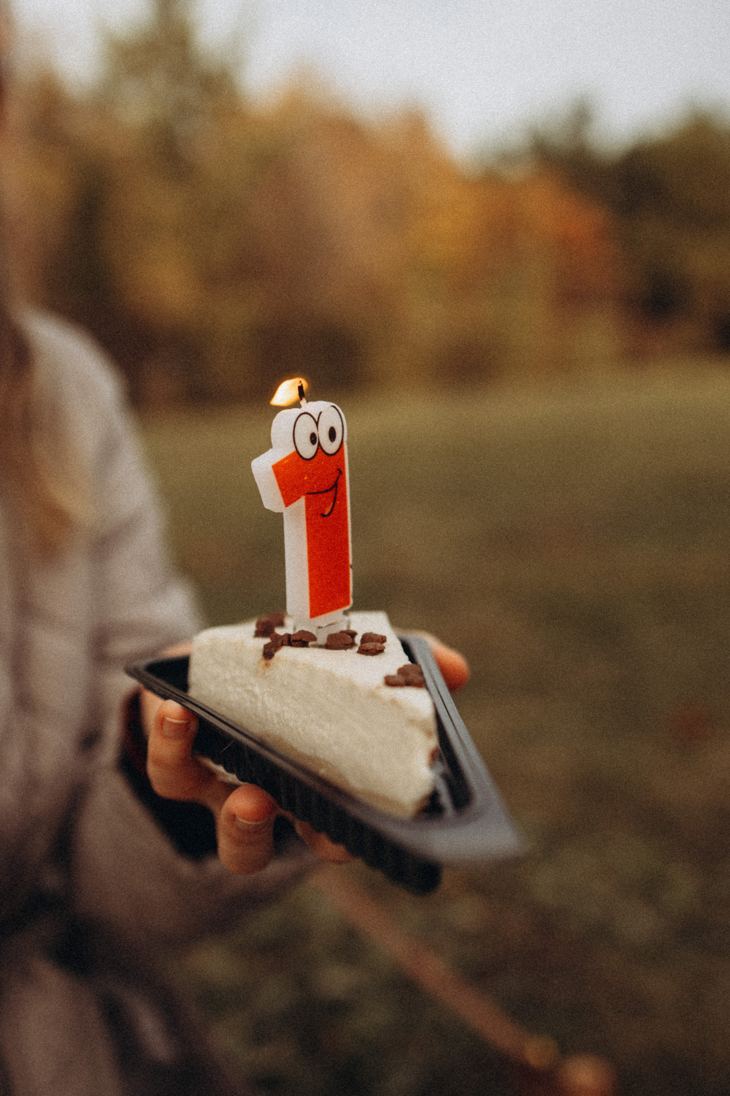 Лёшеньке 1 годик. Lifestyle семейный и детский фотограф в Омске Иванова Екатерина