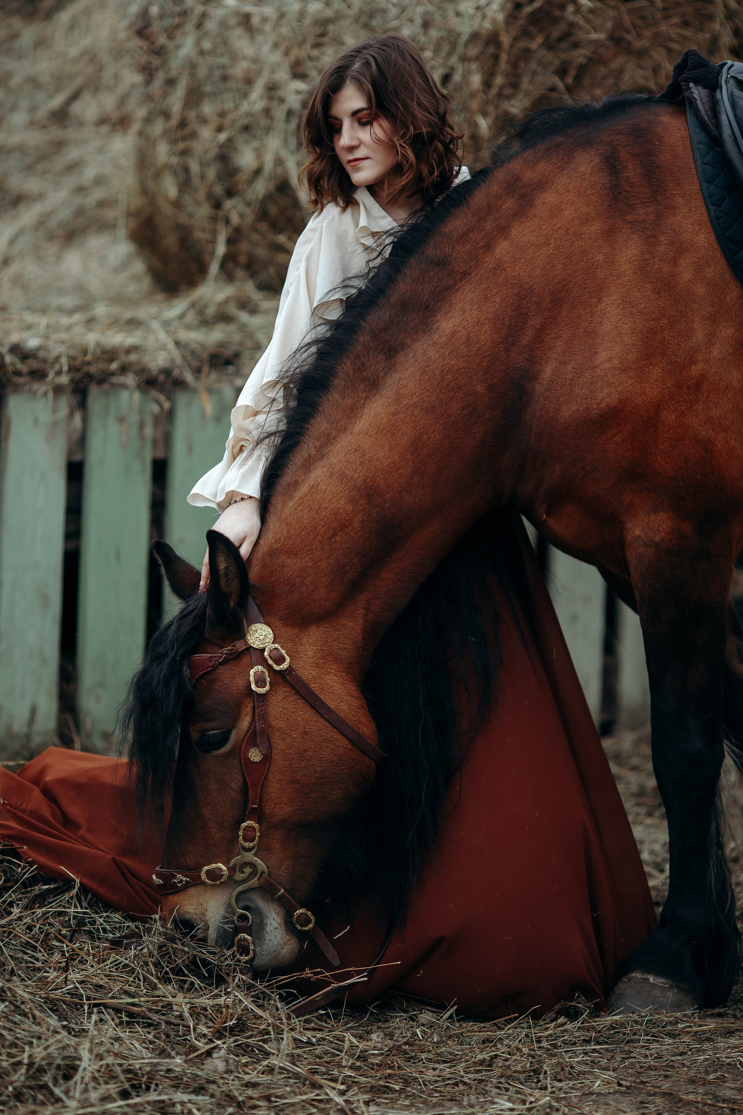 Евгения и Халветта. Анна Молчанова конный фотограф в Тюмени | фотосессии с лошадьми Тюмень