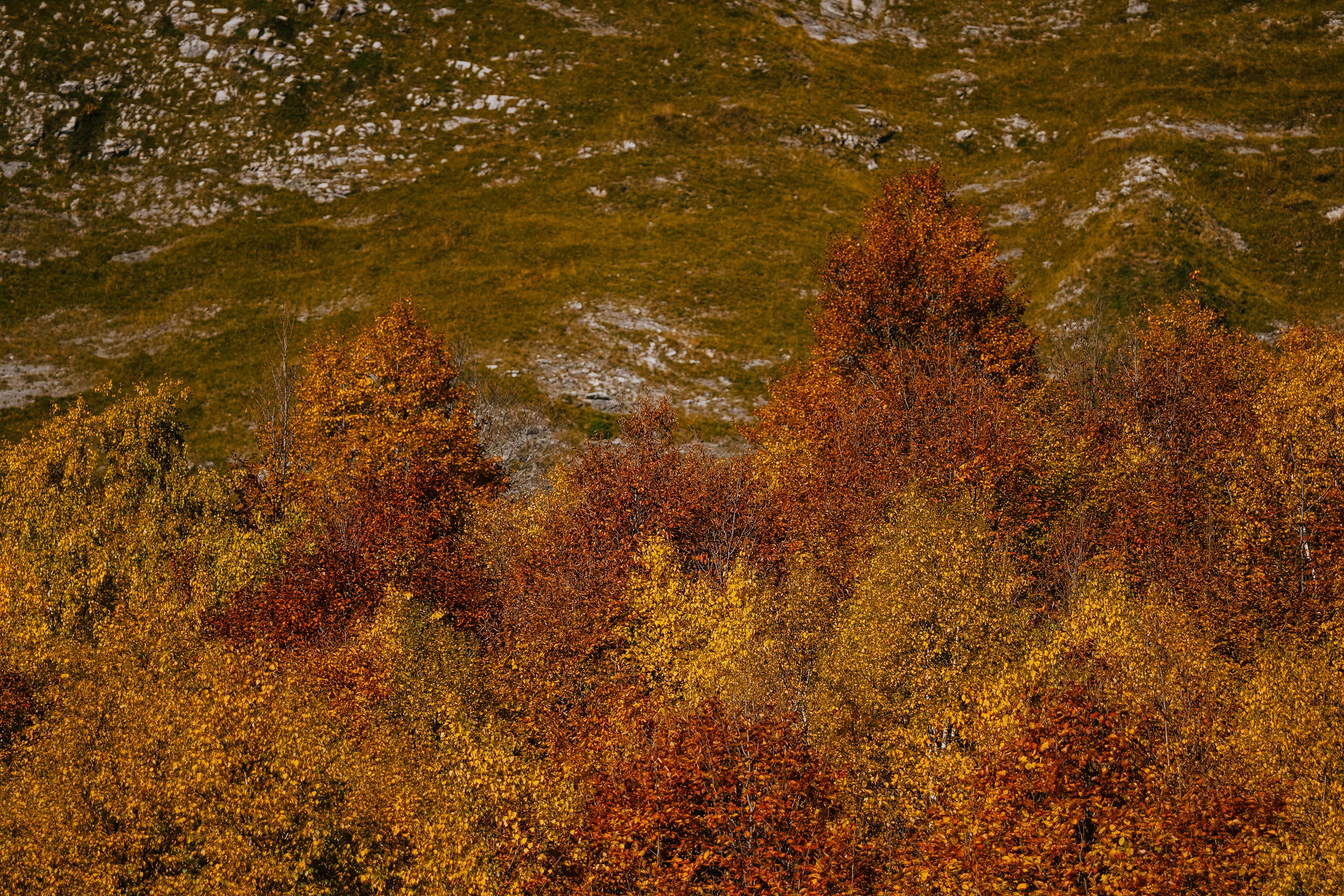 Роза Пик, тропа Турья ✽ Октябрь. Репортажный фотограф | Роза Хутор Красная Поляна Сочи Сириус