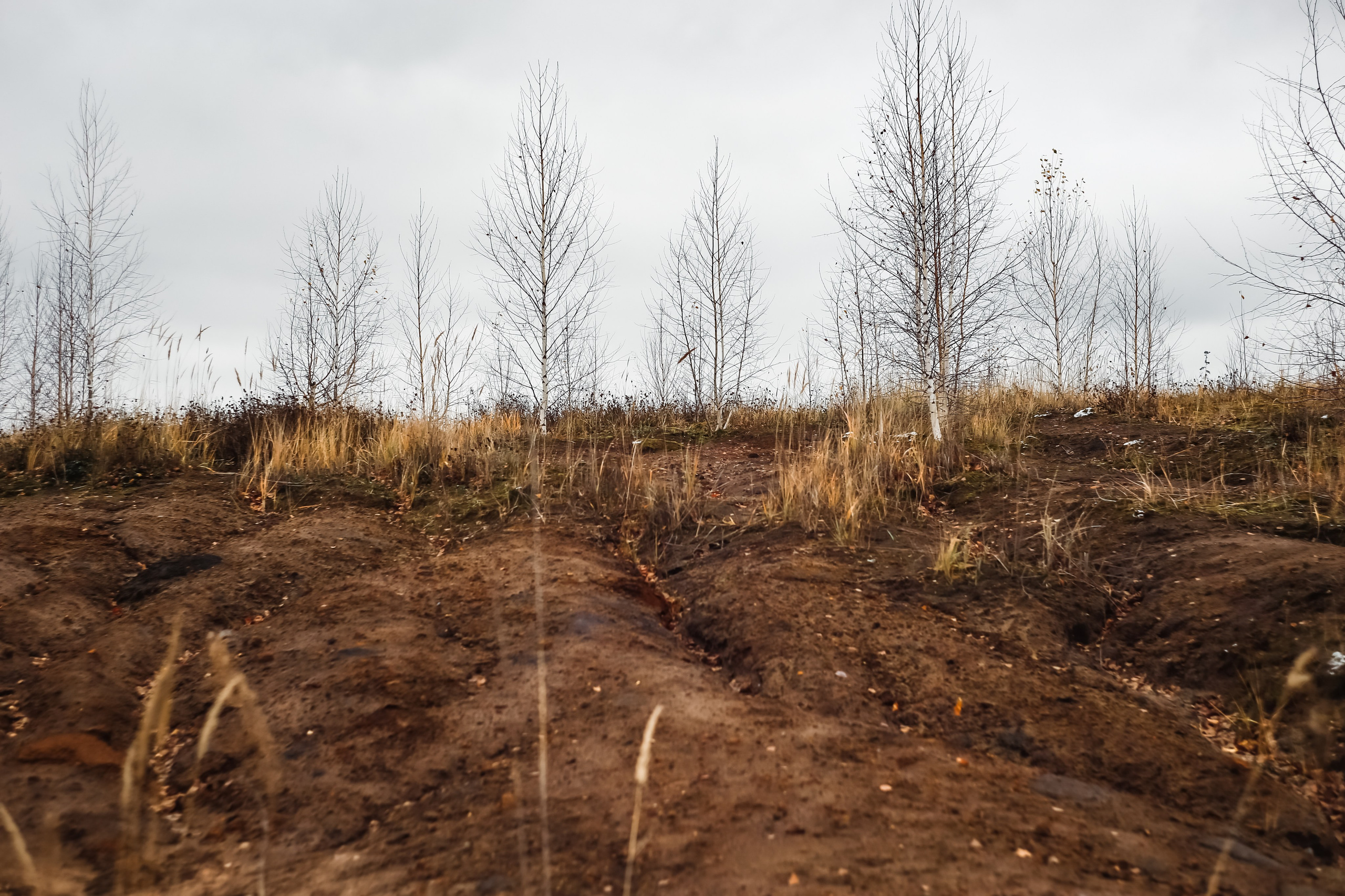 Ноябрь 2022. Efremovaphoto.ru