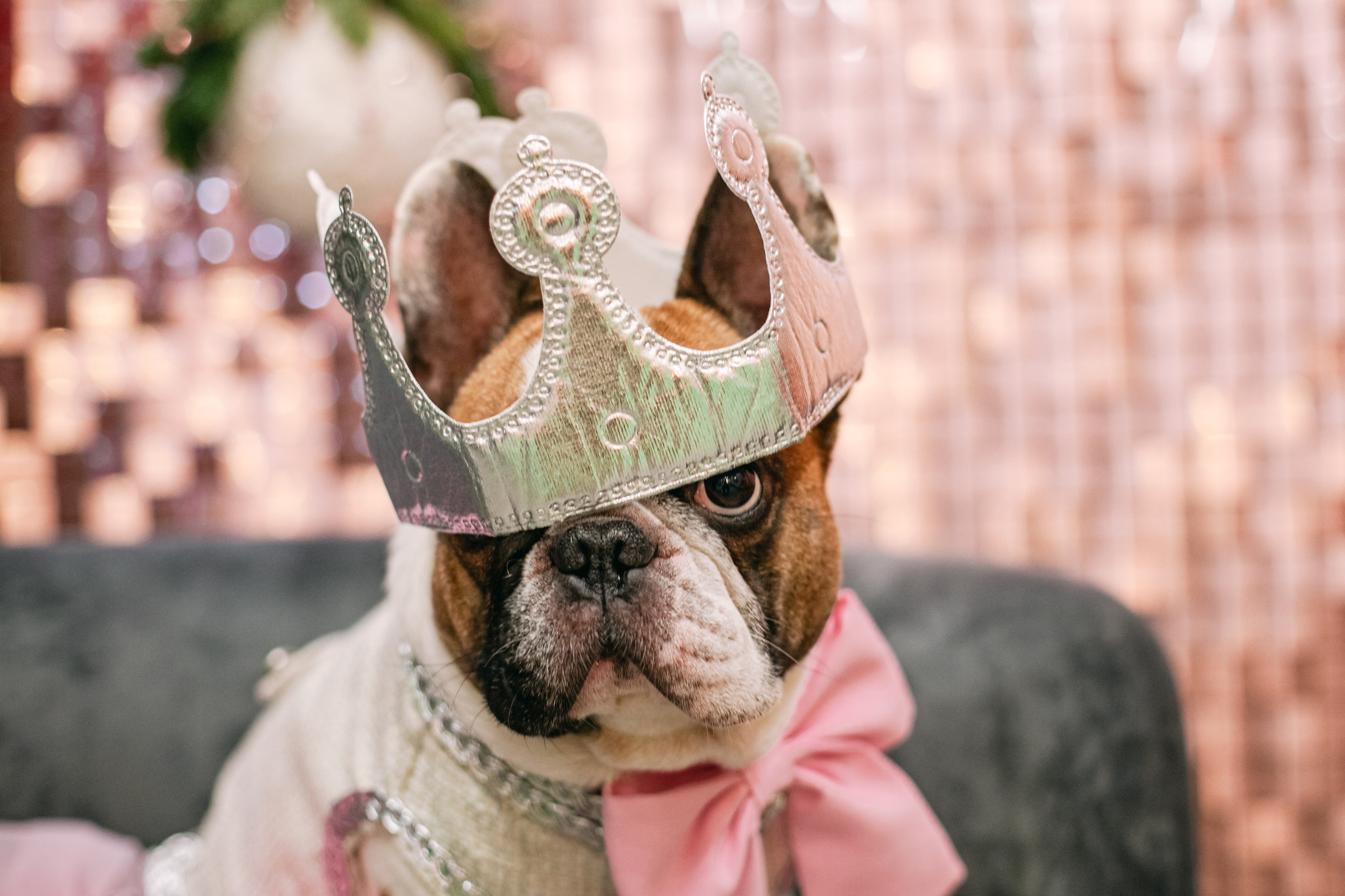 Бульёлка 2024. Фотограф-анималист Татьяна Степанова