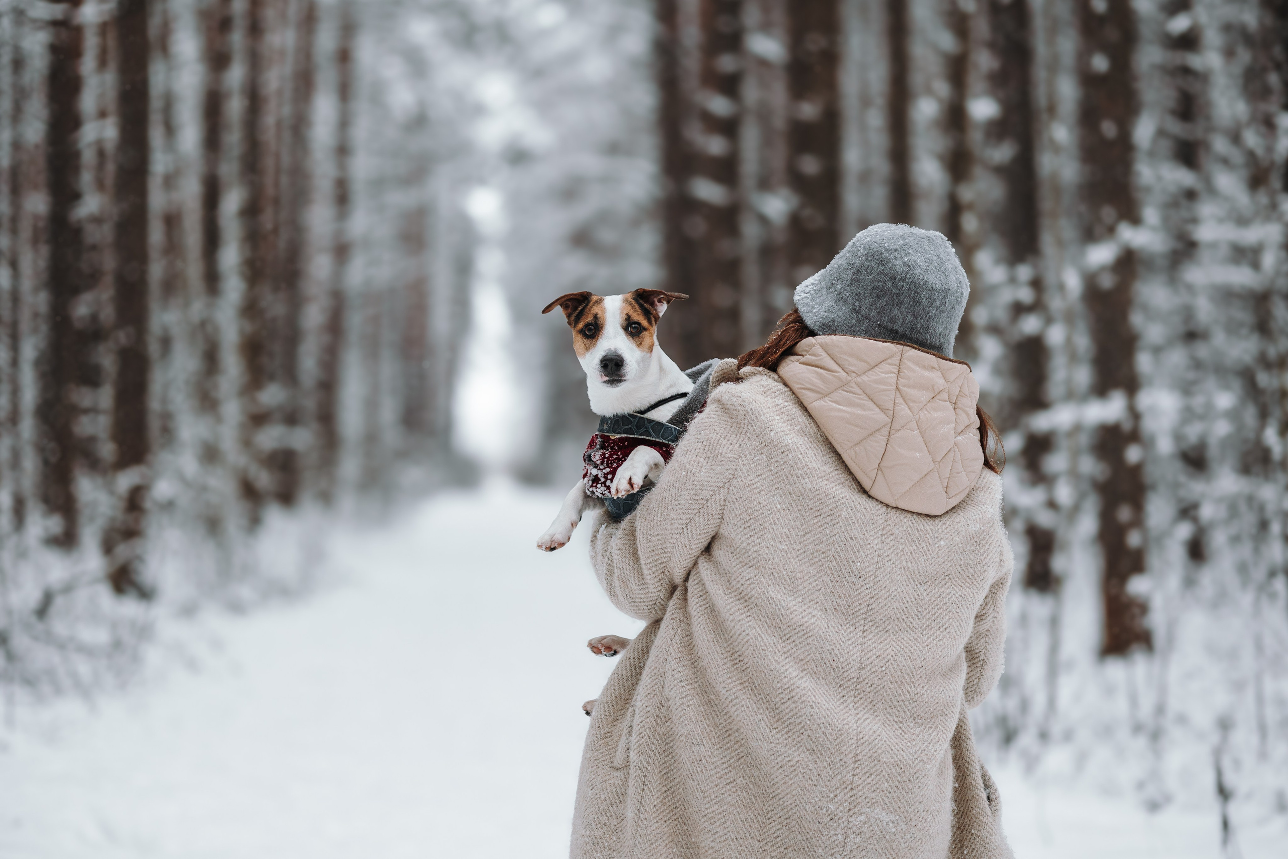 Наталья и Микки. Фотограф — Анималист | Санкт-Петербург
