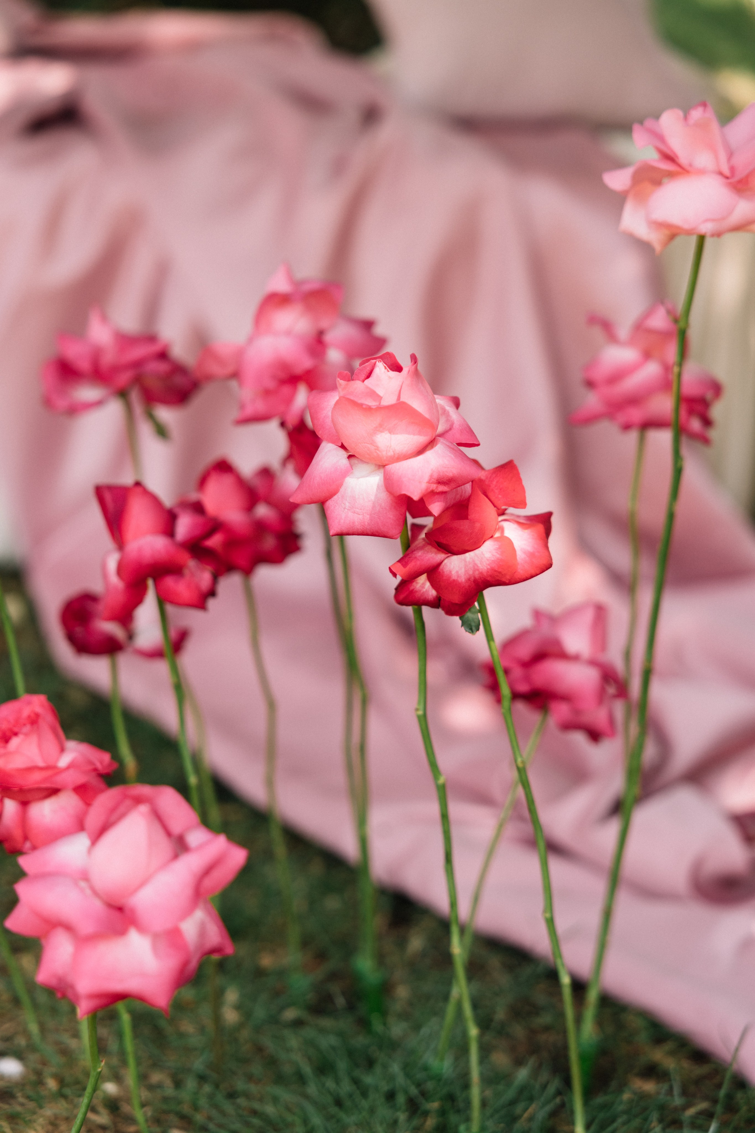 Хвича И Диана. Свадебный фотограф в Краснодаре Булатова Наталия