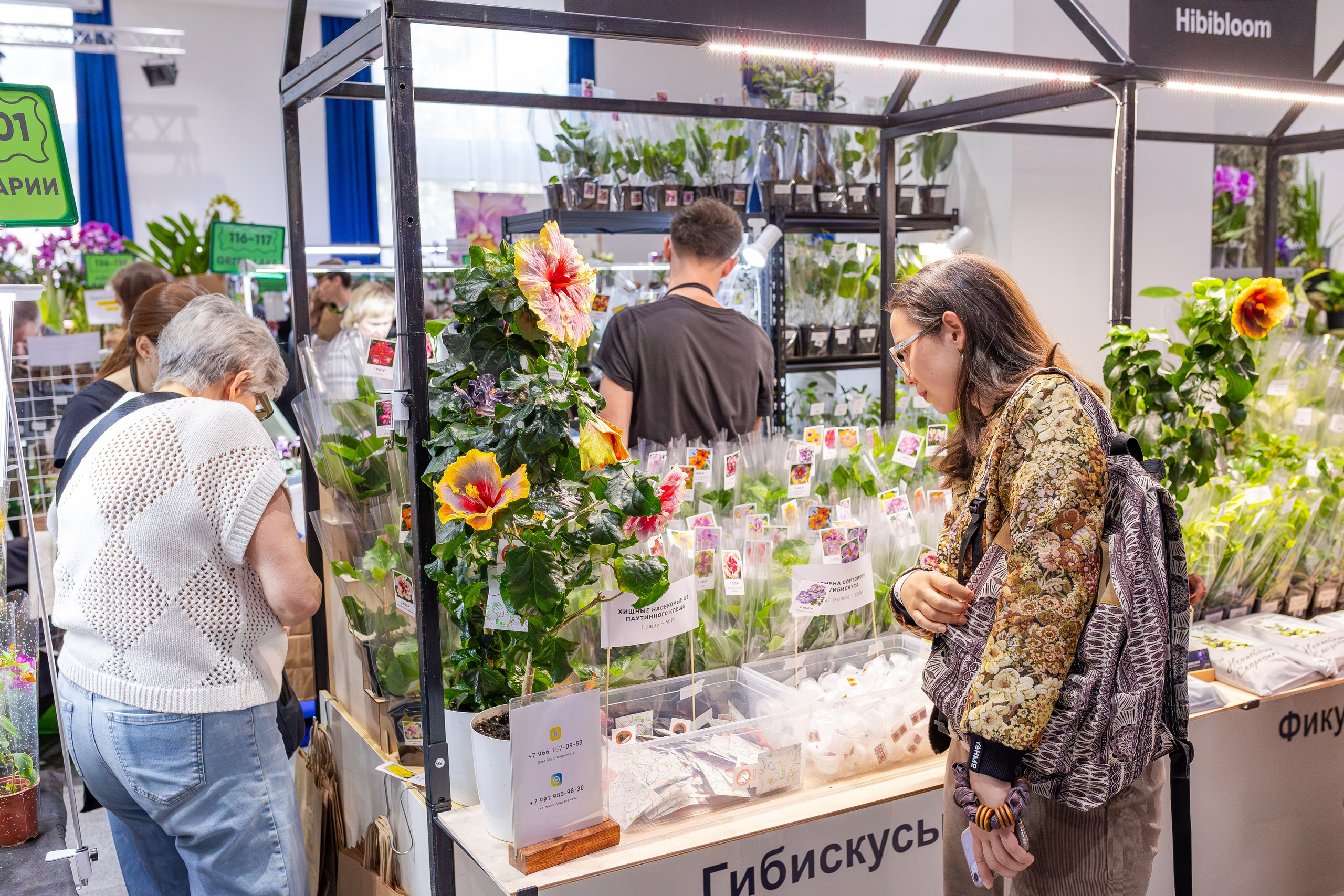 Орхидиум сентябрь 2025. Александра Куликова фотограф, Москва