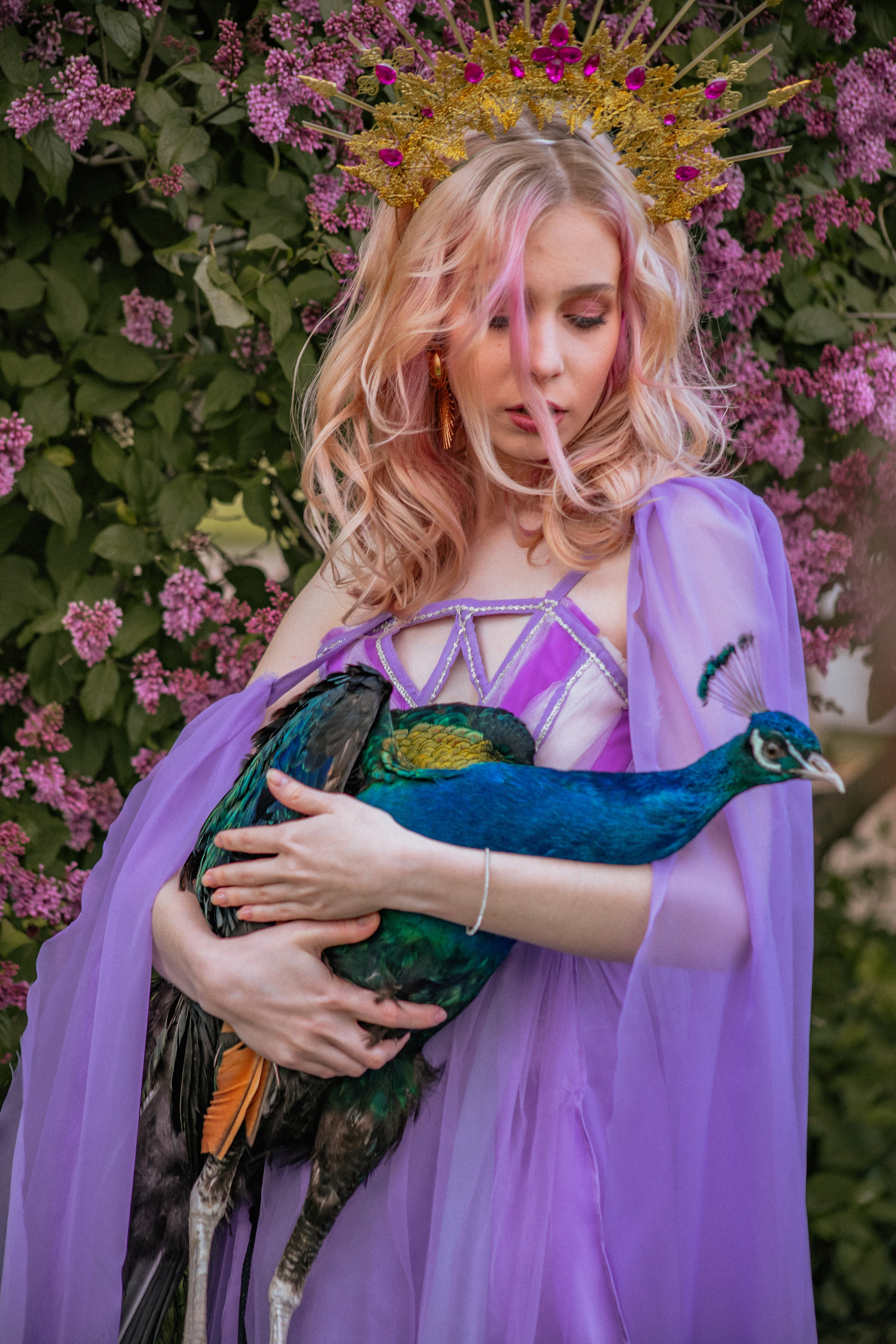 Павлин. Elena Sova — семейный и женский фотограф в Санкт-Петербурге