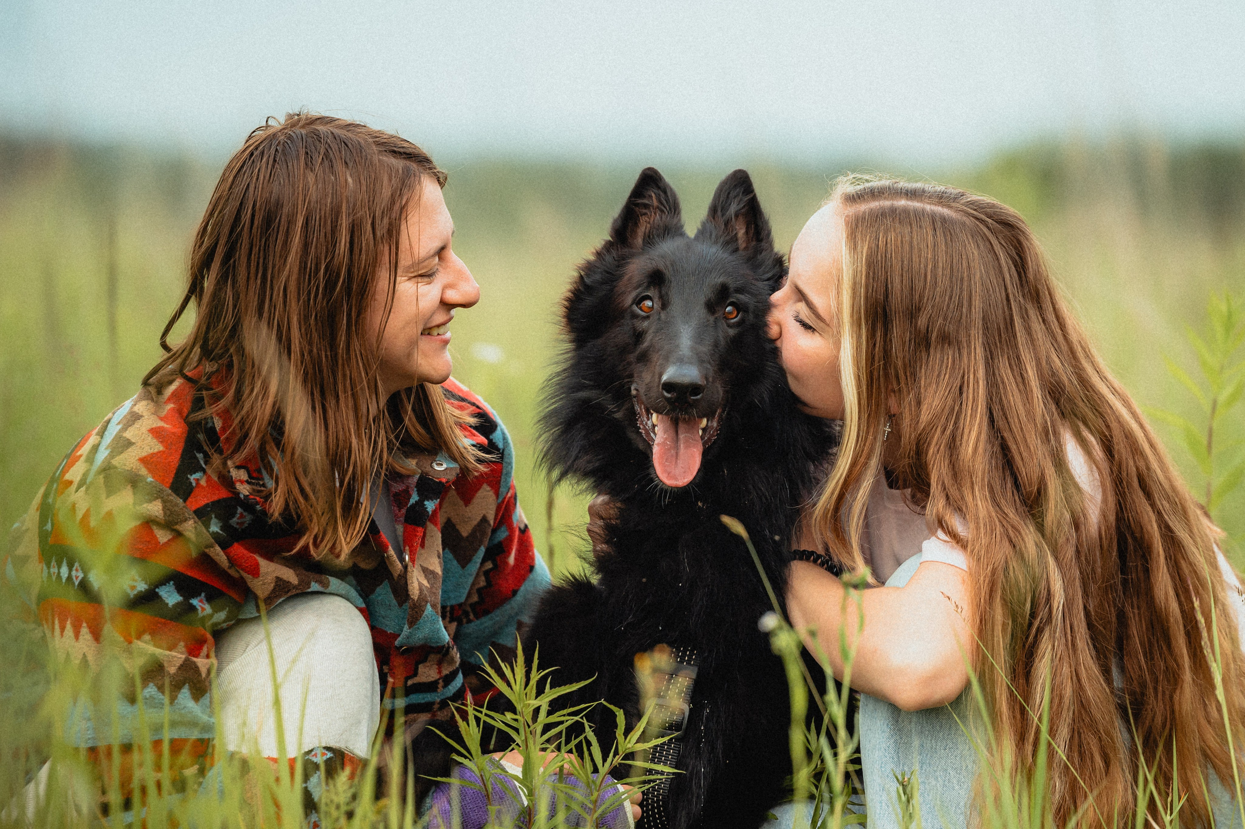 Выездной дог-тренинг от школы «Шерсть имею»