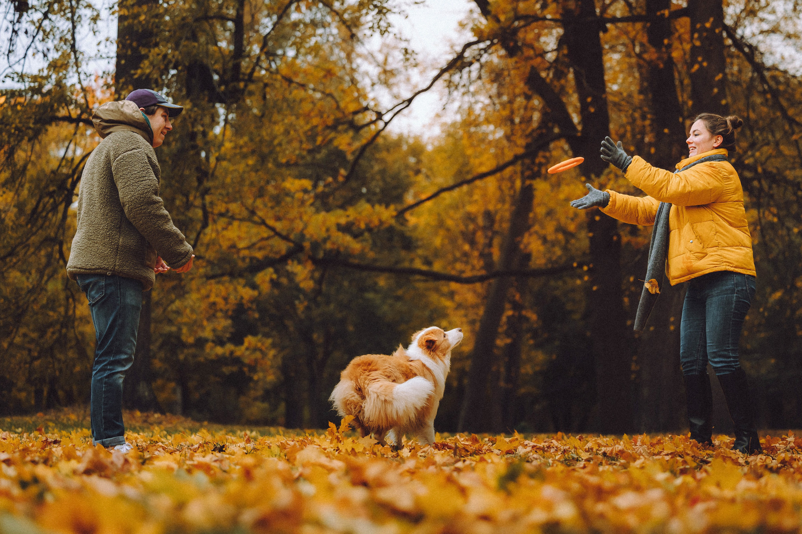 Алина, Витя и Асти