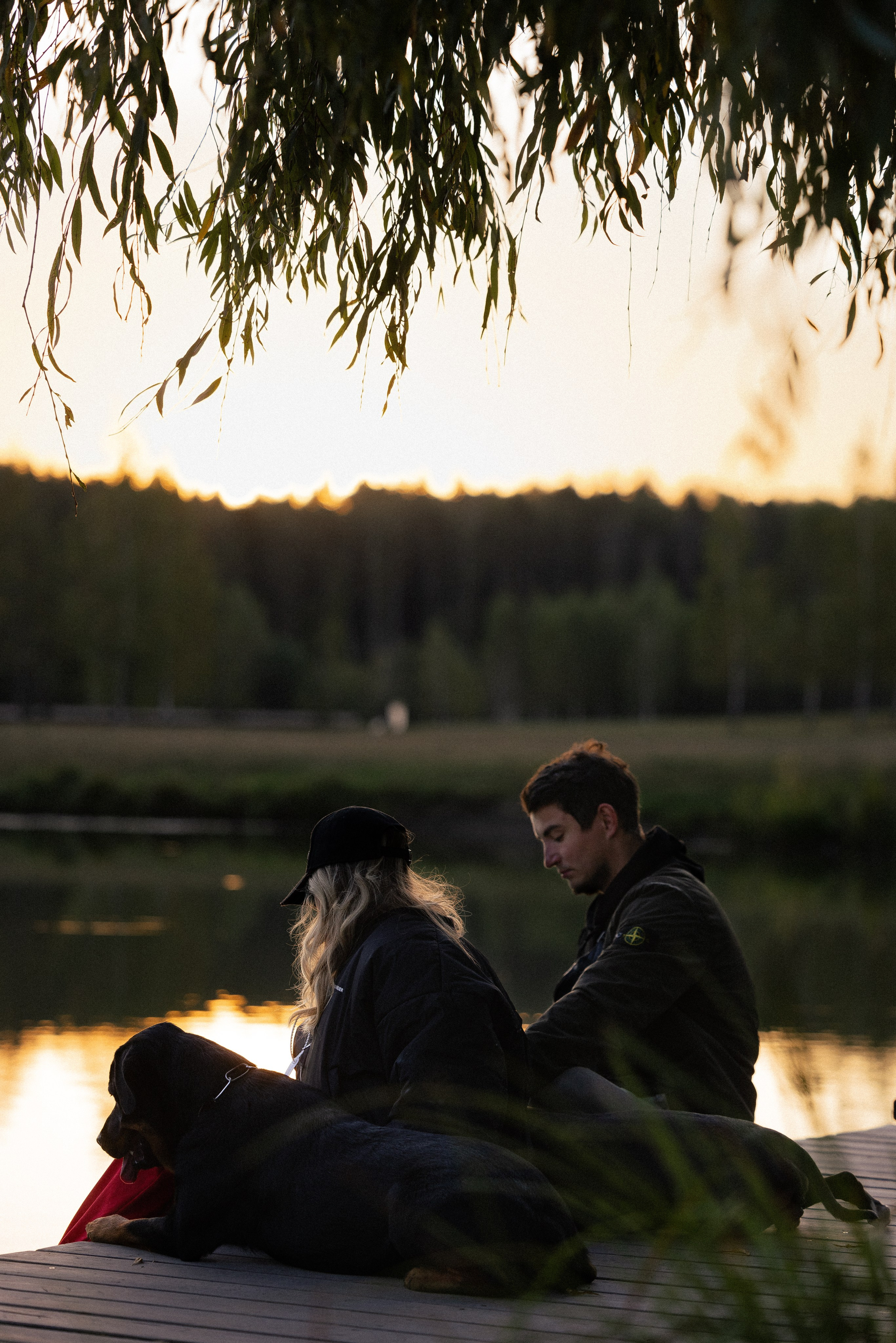 Катя, Леша, Лея и Трой. Фотограф и видеограф анималист Аганина Дарья