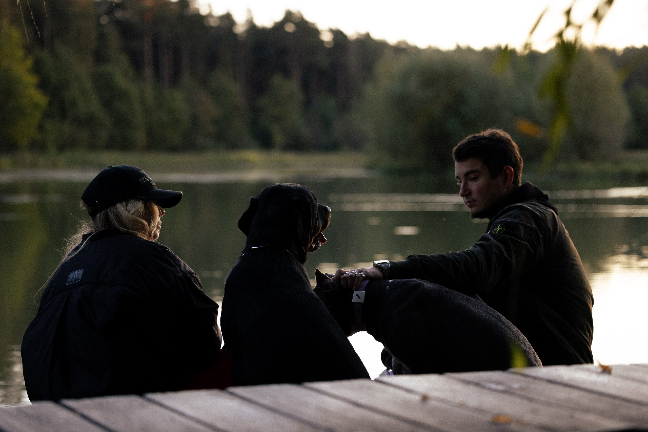 Катя, Леша, Лея и Трой. Фотограф и видеограф анималист Аганина Дарья