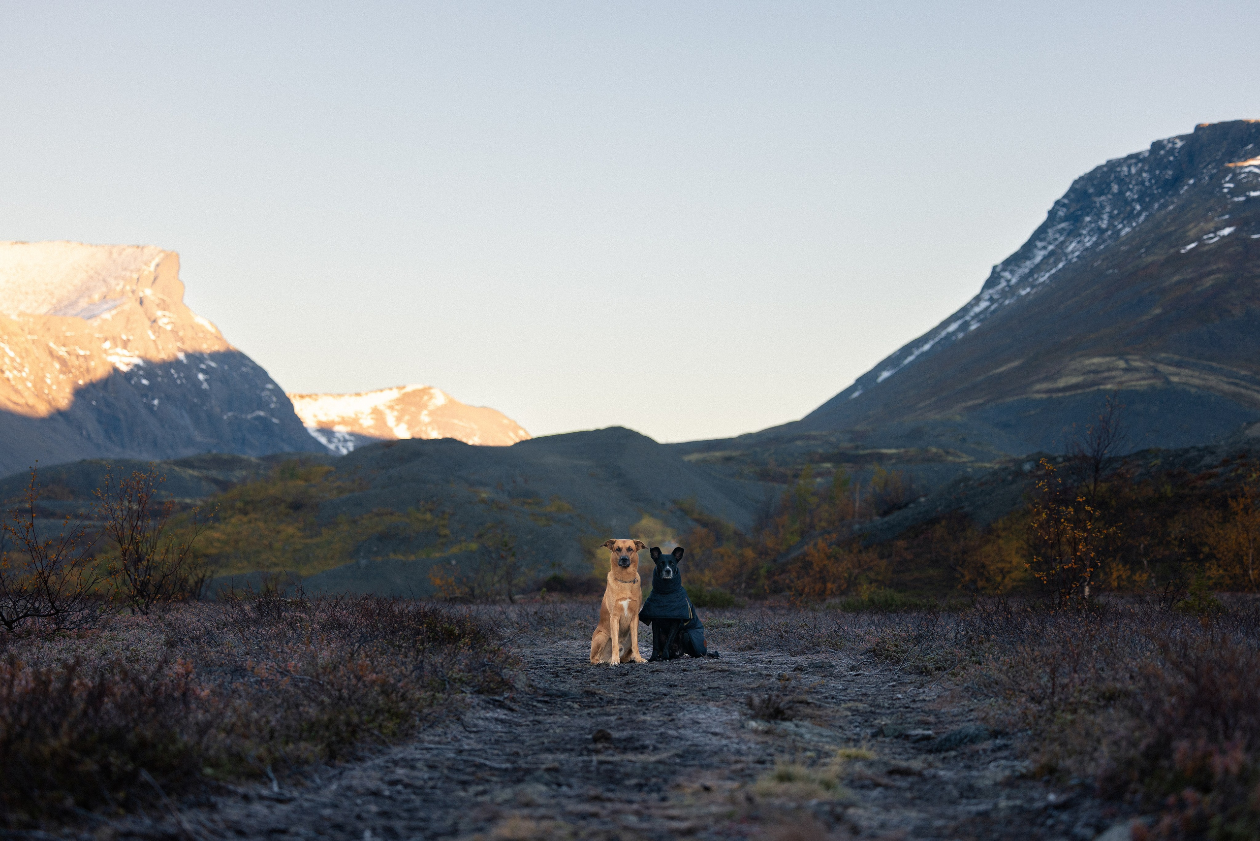 Кольский. Фотограф и видеограф анималист Аганина Дарья