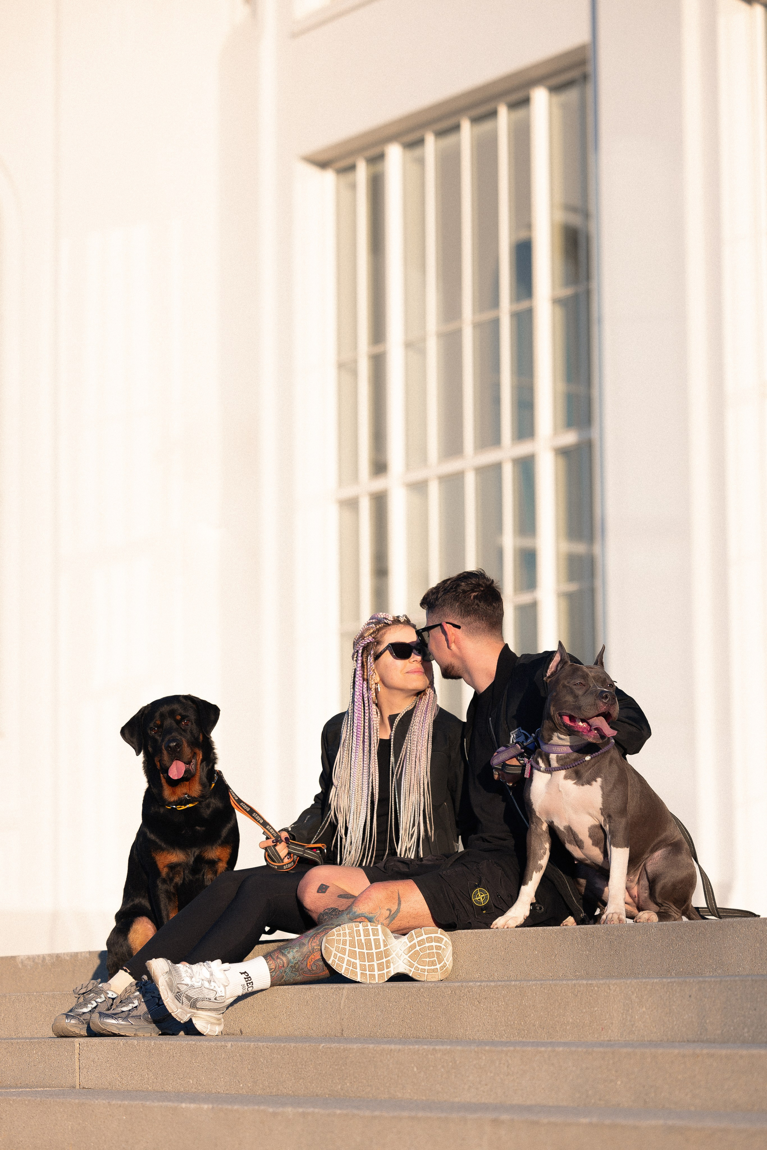 Катя, Леша, Трой и Лея. Фотограф и видеограф анималист Аганина Дарья