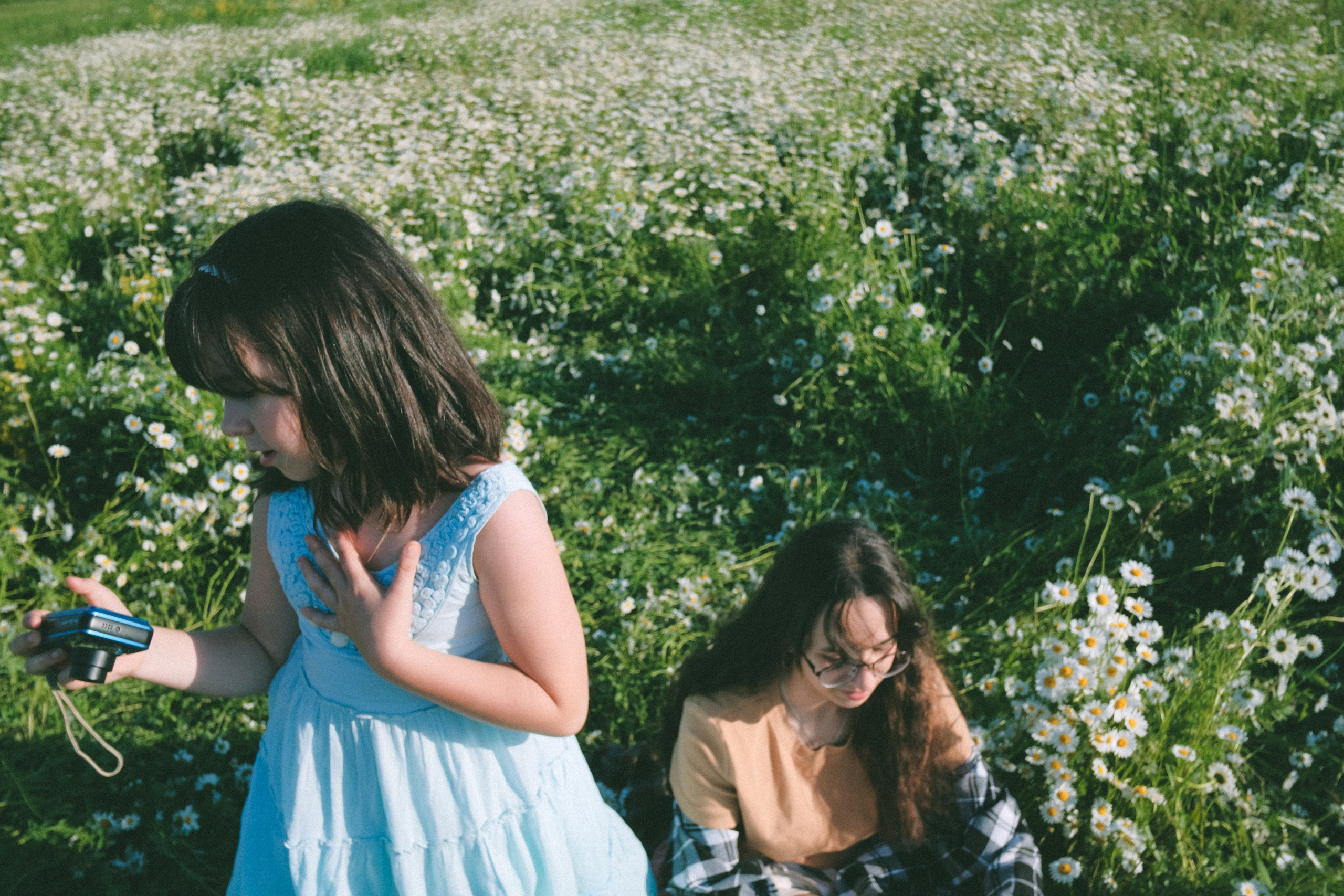 Ждановы в ромашках. Женский и семейный фотограф в Краснодаре и крае Таня Мустафина