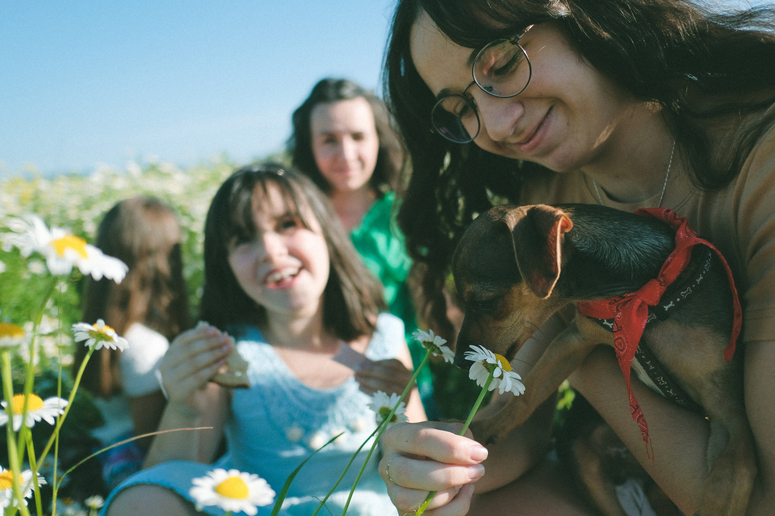 Ждановы в ромашках. Женский и семейный фотограф в Краснодаре и крае Таня Мустафина