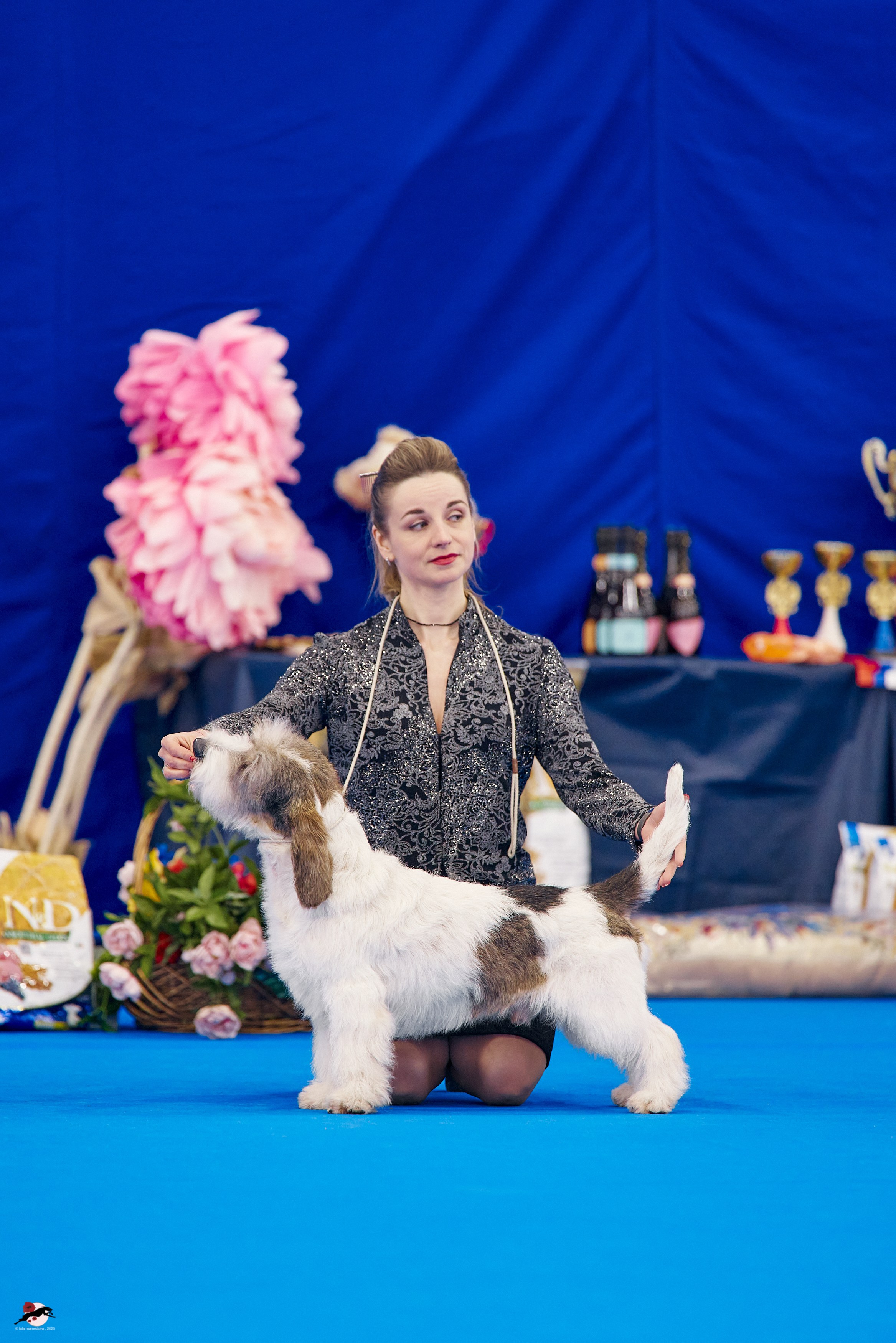 27.04.2025 | "Петербург-Элита 2025" & «КУБОК «ЭЛИТЫ»-2025»