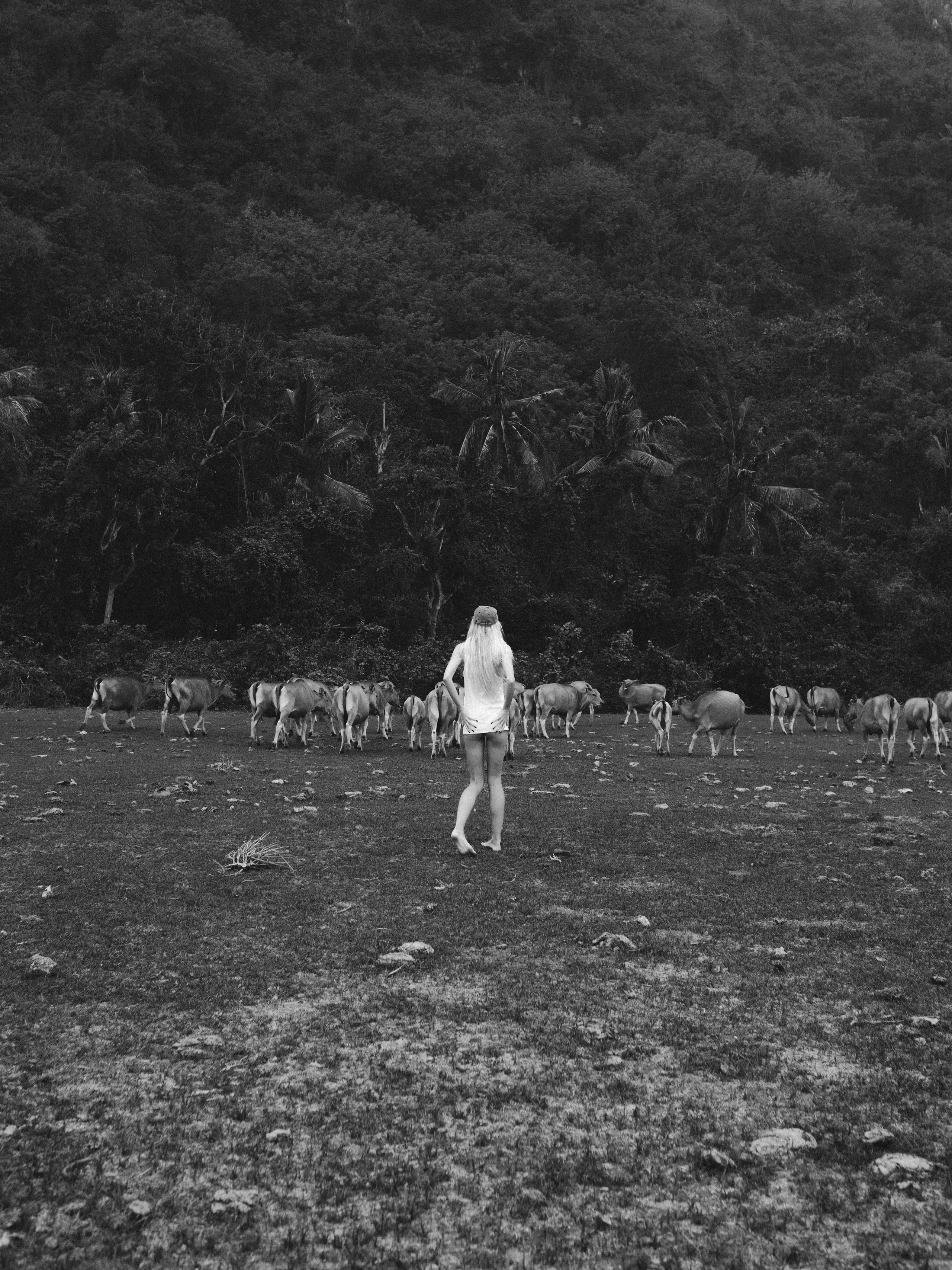 Портфолио. Фотограф Илья Клопов