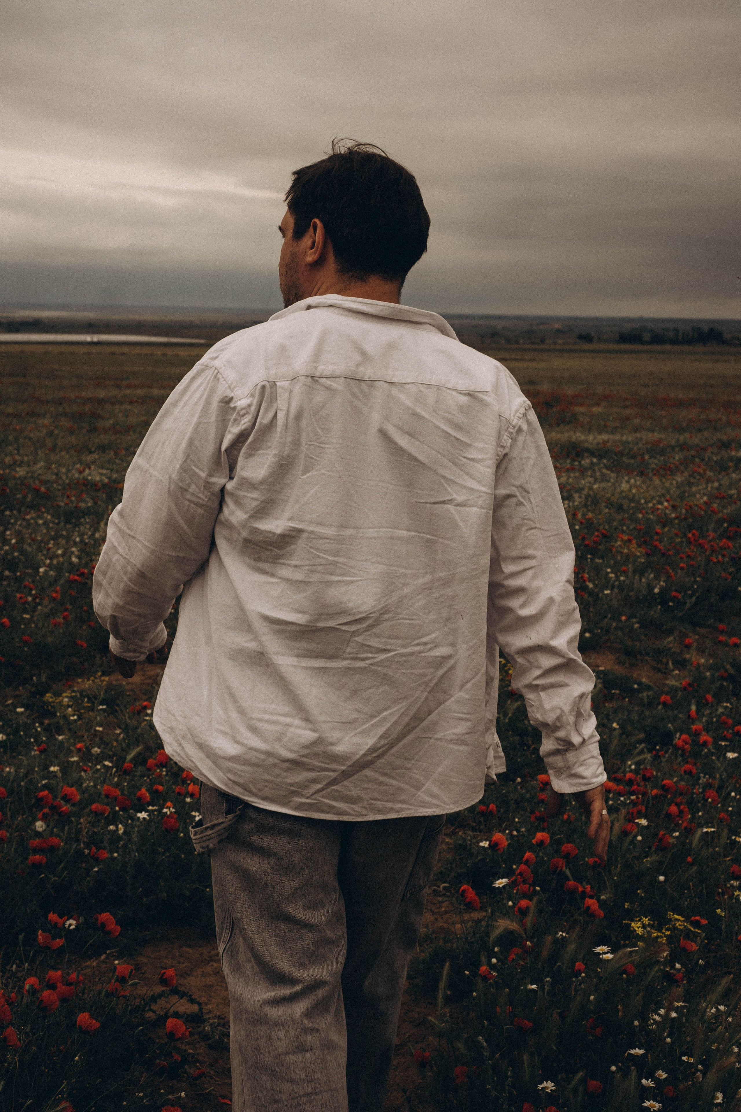 Маки. Профессиональный фотограф, Санкт-Петербург — Виктория Богомолова