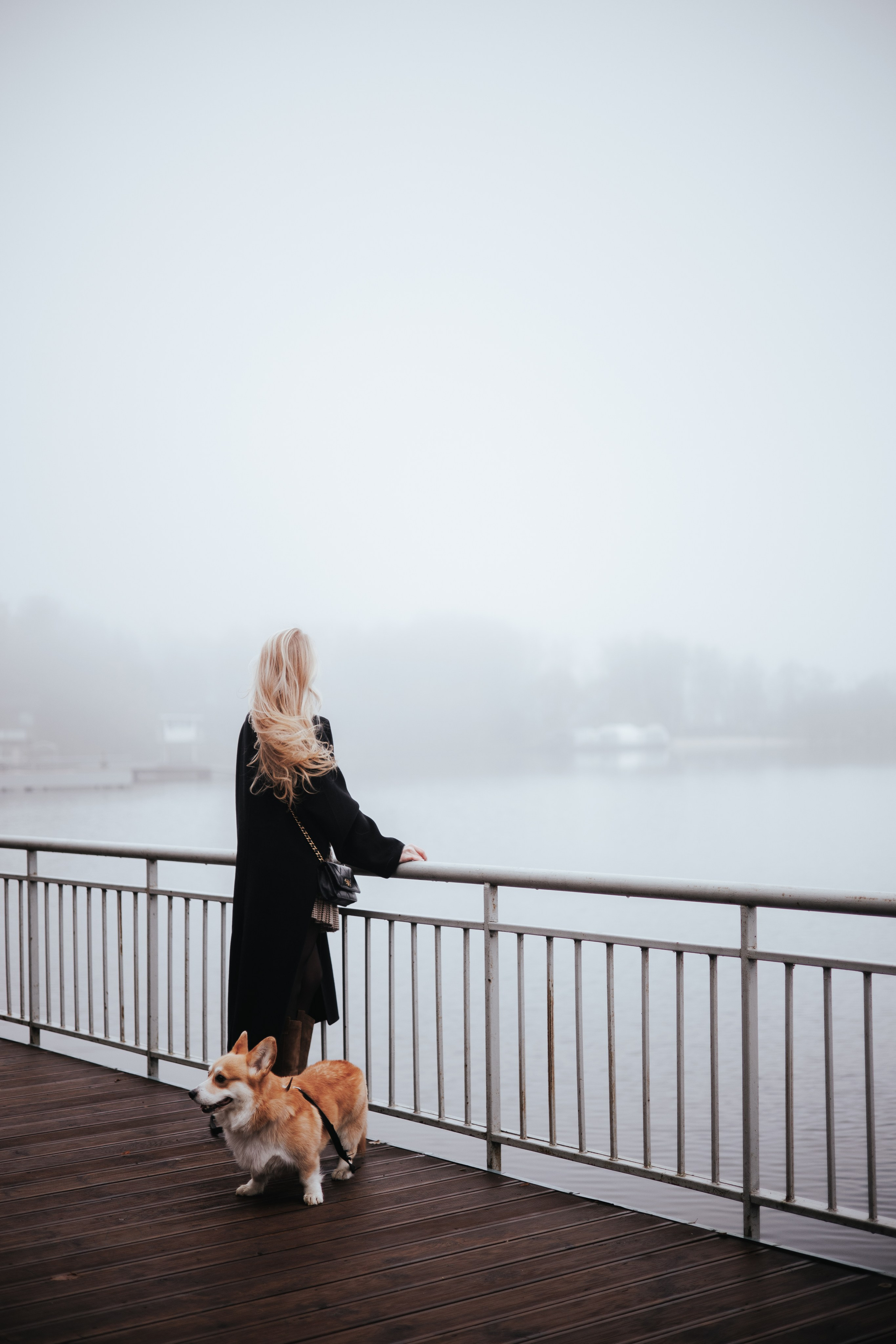 Фотограф животных Евгения Верцинская