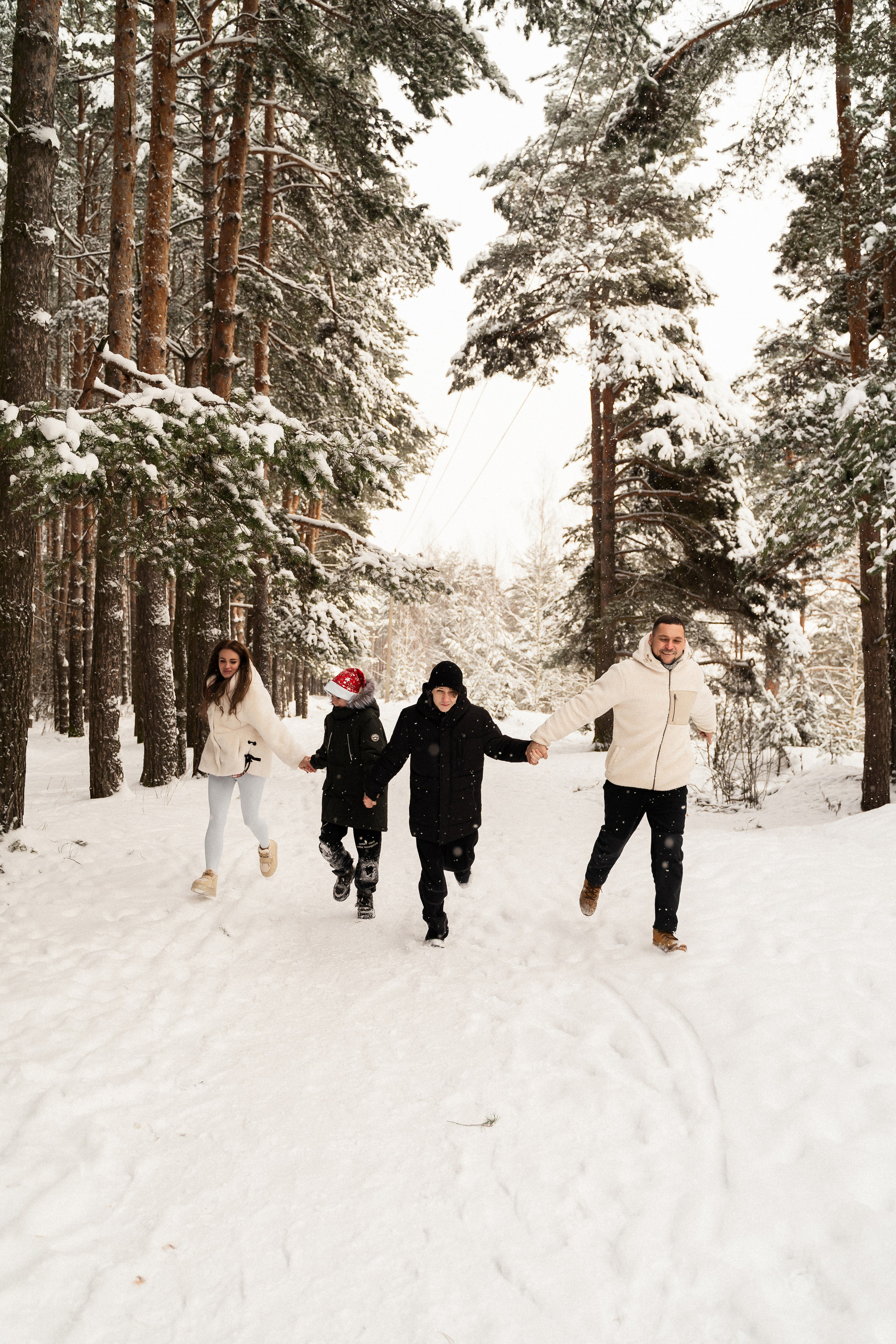 Зимний лес. Фотограф Алина Филимонова Тверь