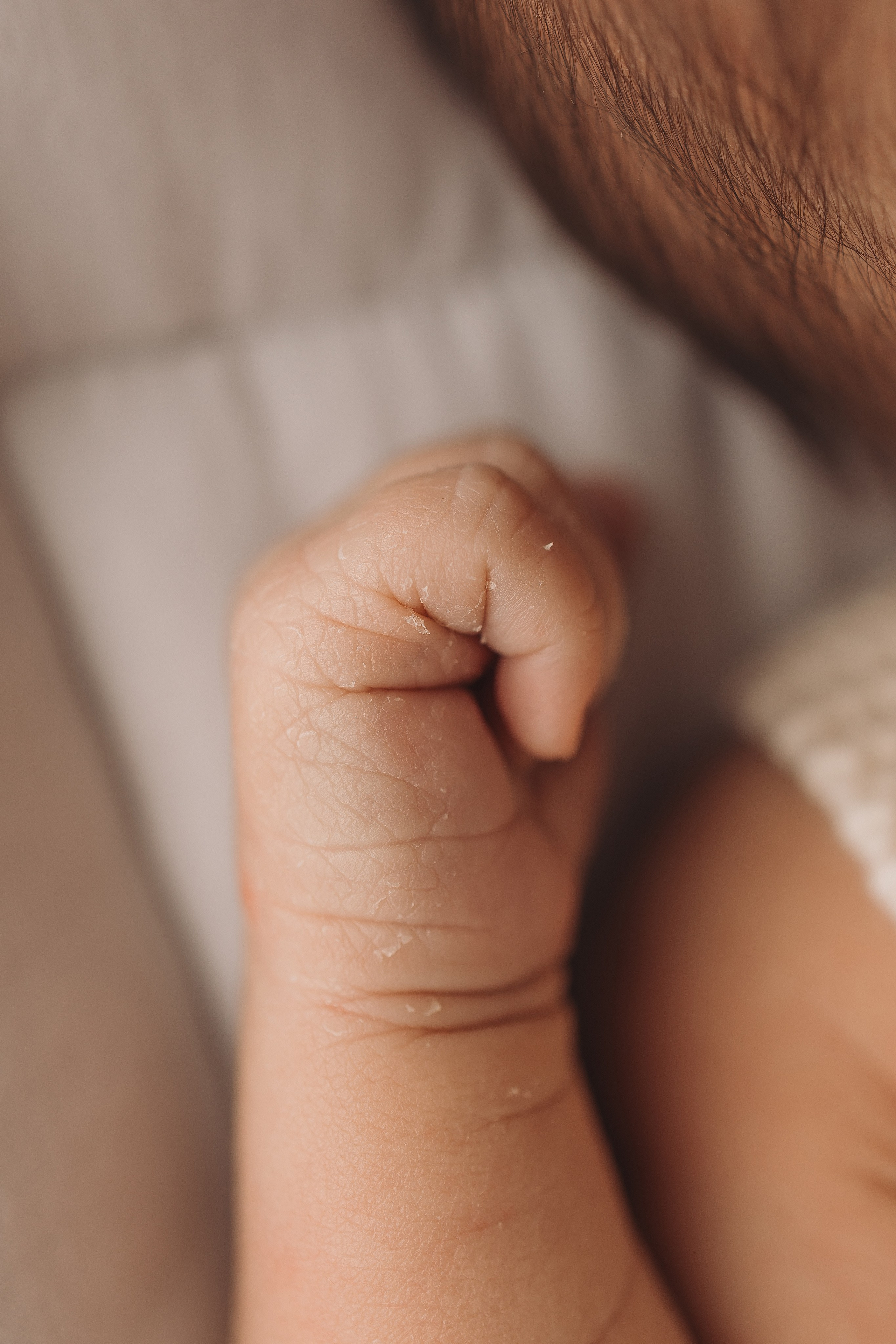 Лев 7 дней. Фотограф новорождённых Newborn Москва