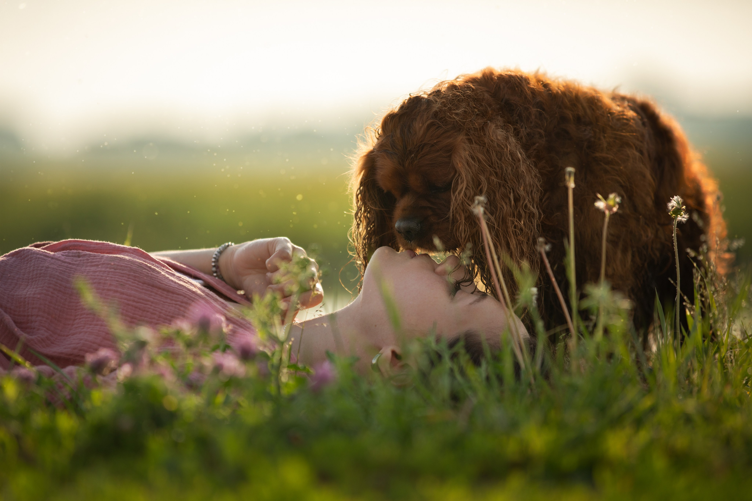 Фотограф-анималист в Москве и Московской области Татьяна Фролова