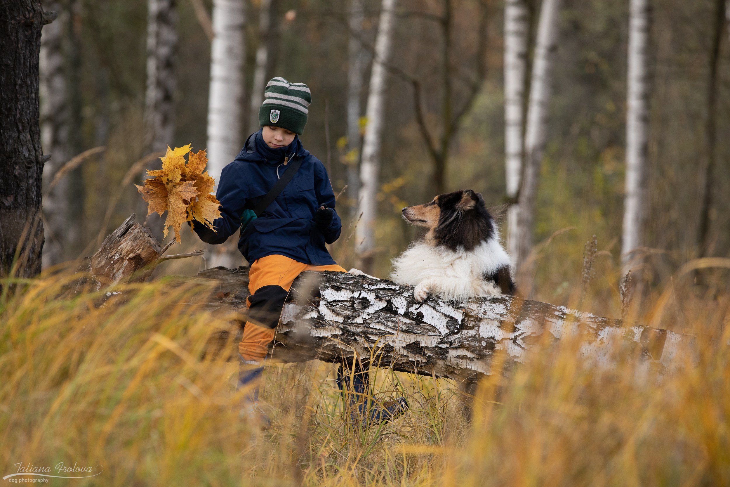Осенняя фотосессия с собакой в г. Мытищи. Фотограф-анималист в Москве и Московской области Татьяна Фролова