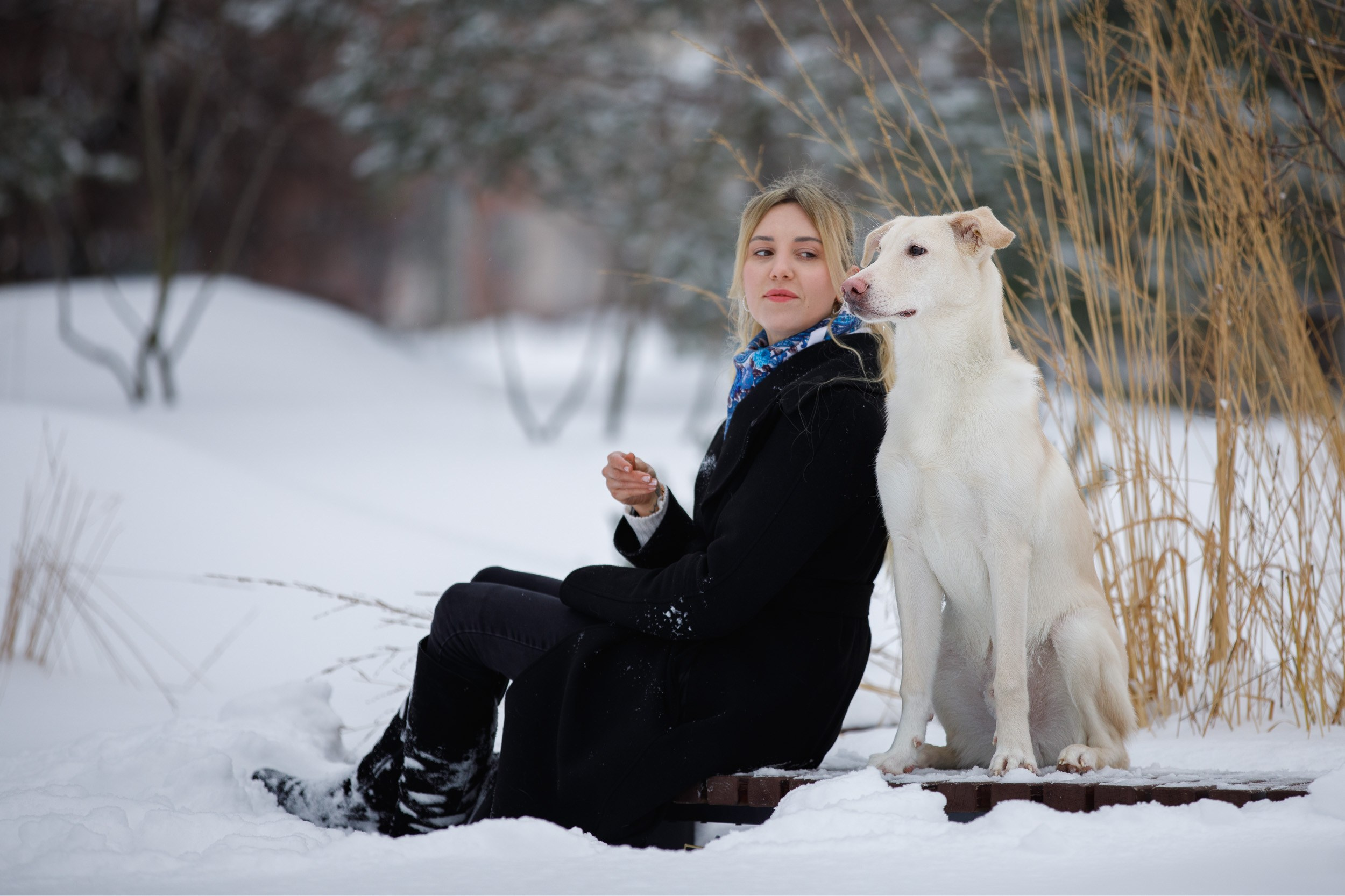 Фотопрогулка с Авророй и Амуром в Гольяново. Фотограф-анималист в Москве и Московской области Татьяна Фролова