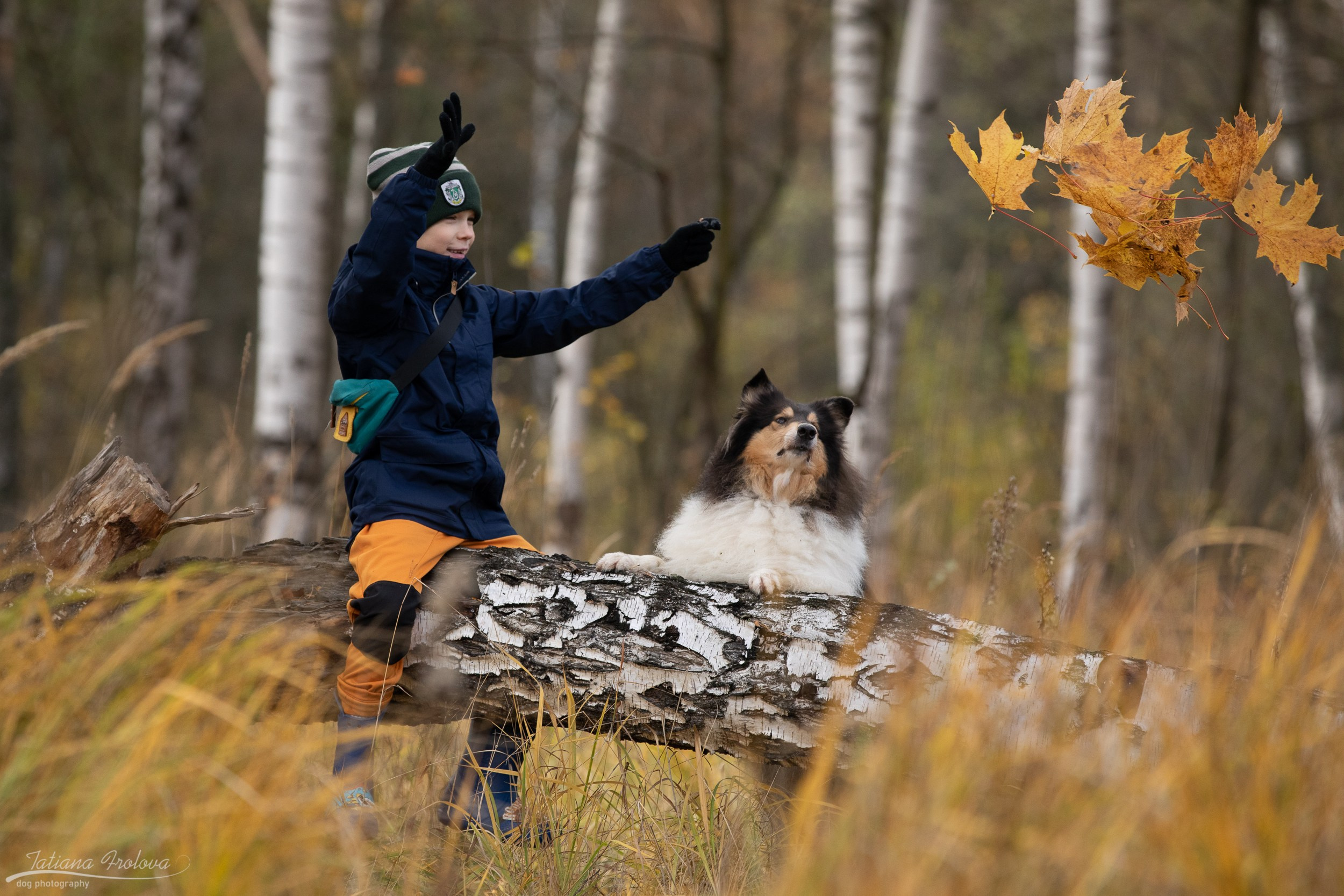 Осенняя фотосессия с собакой в г. Мытищи. Фотограф-анималист в Москве и Московской области Татьяна Фролова