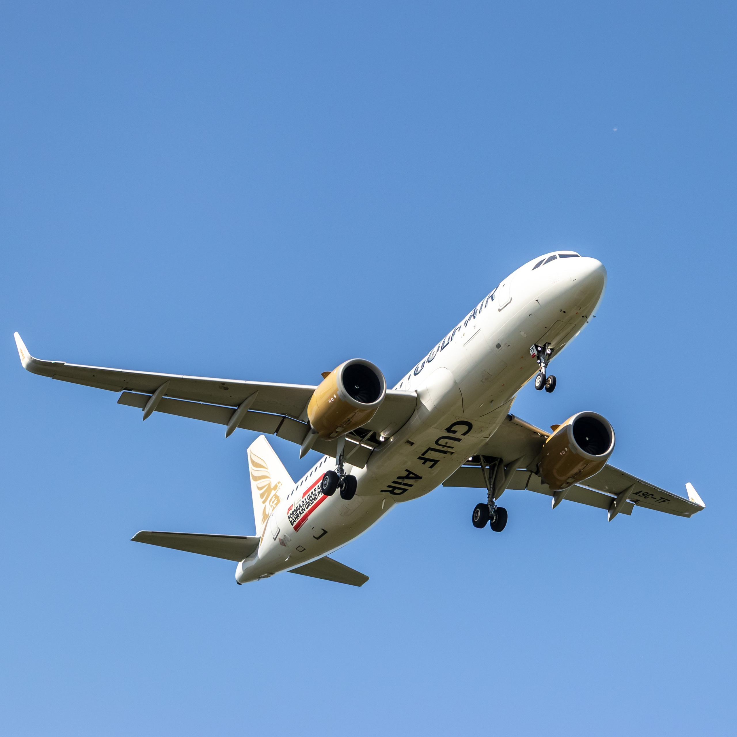 Споттинг. Leclerc-studio