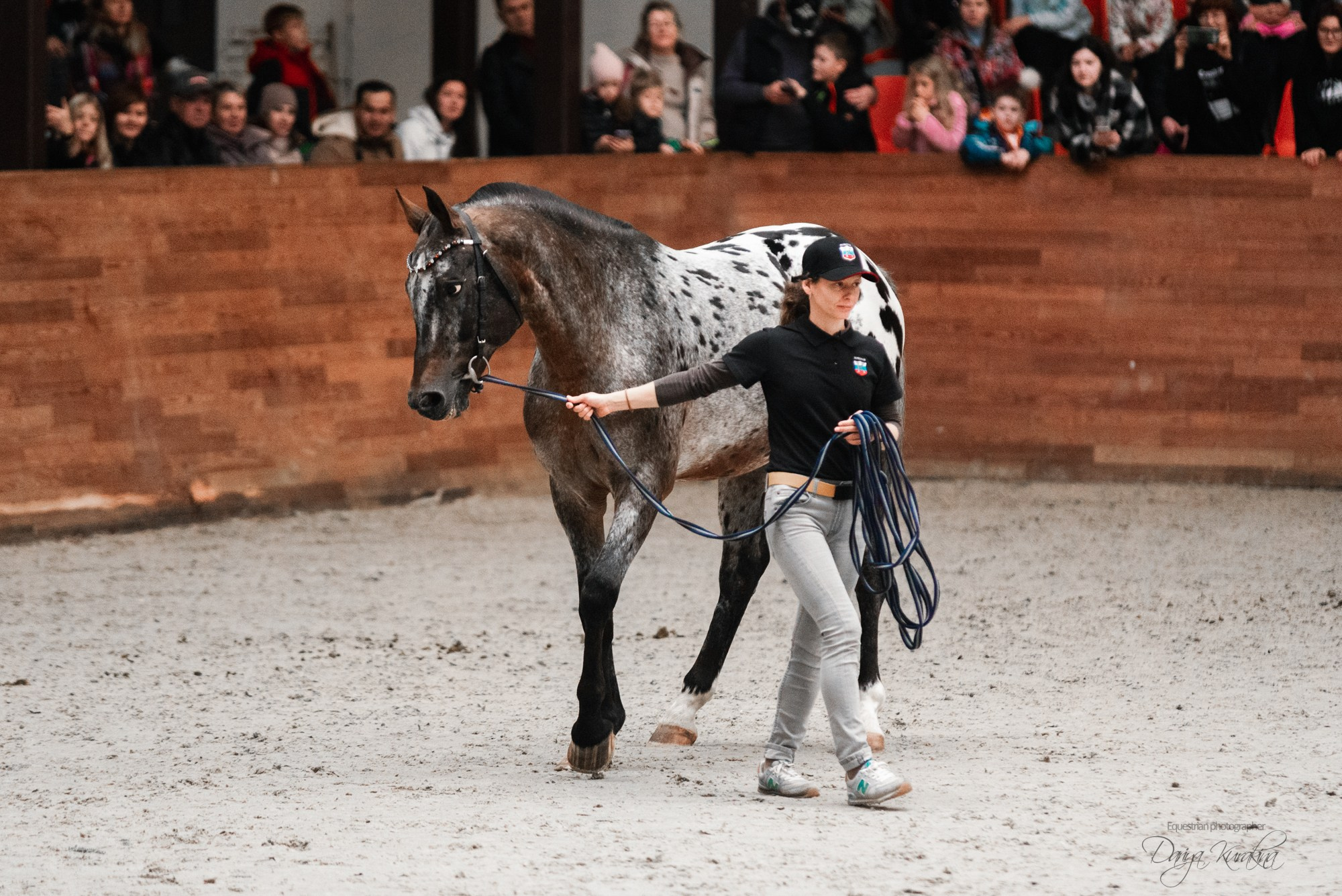 8-я международная выставка Конная Россия. Конный фотограф Куракина Дарья • Фотосессии с лошадьми