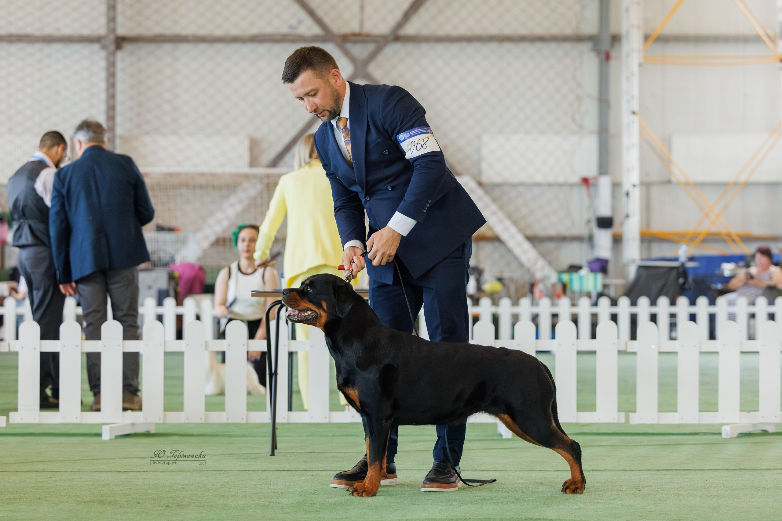 Батуми 3хCACIB 27-29.06.2025. Фотограф-анималист Юлия Германика