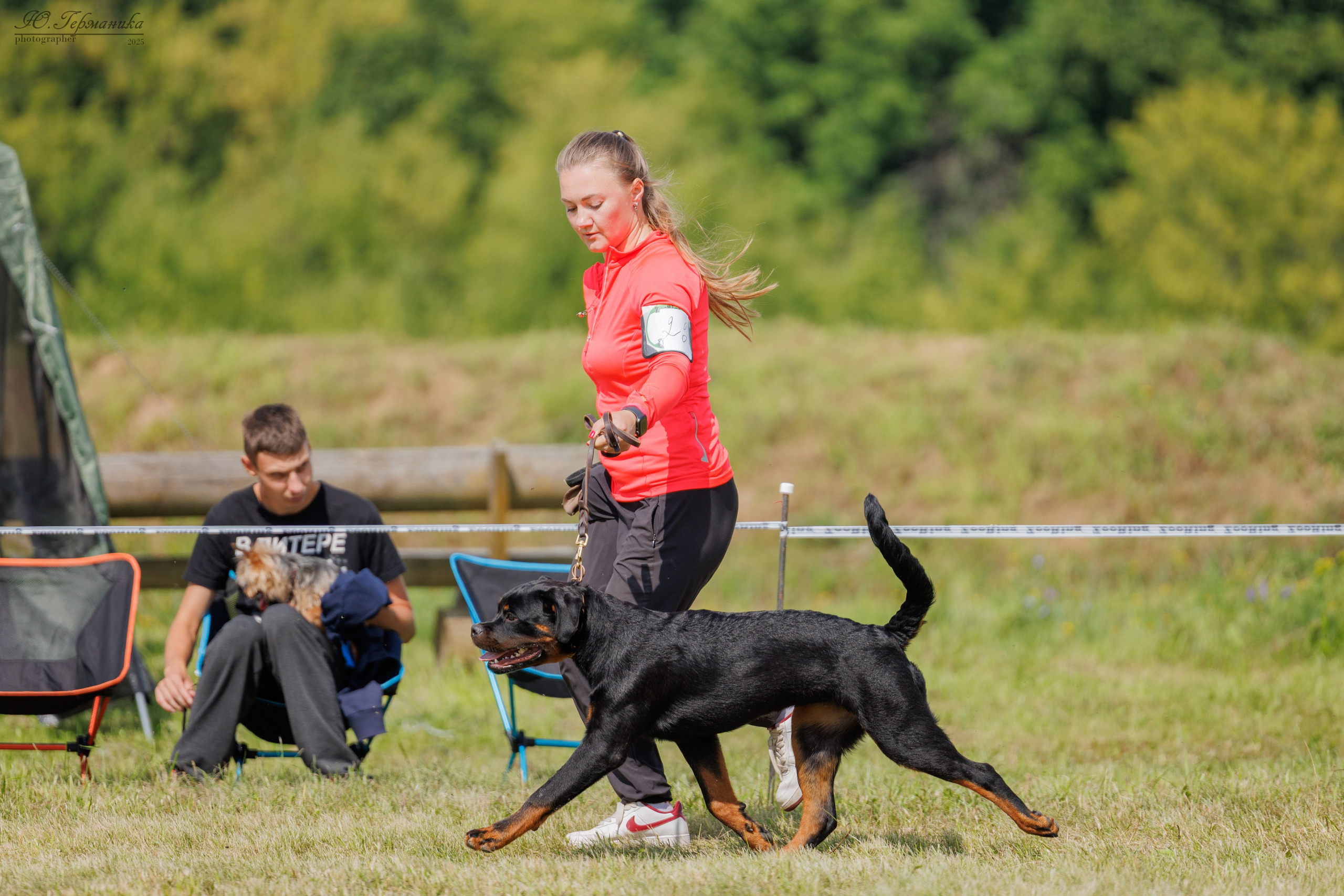 Рязань 2хмоно ротвейлеры 16-17.08.2025. Фотограф-анималист Юлия Германика