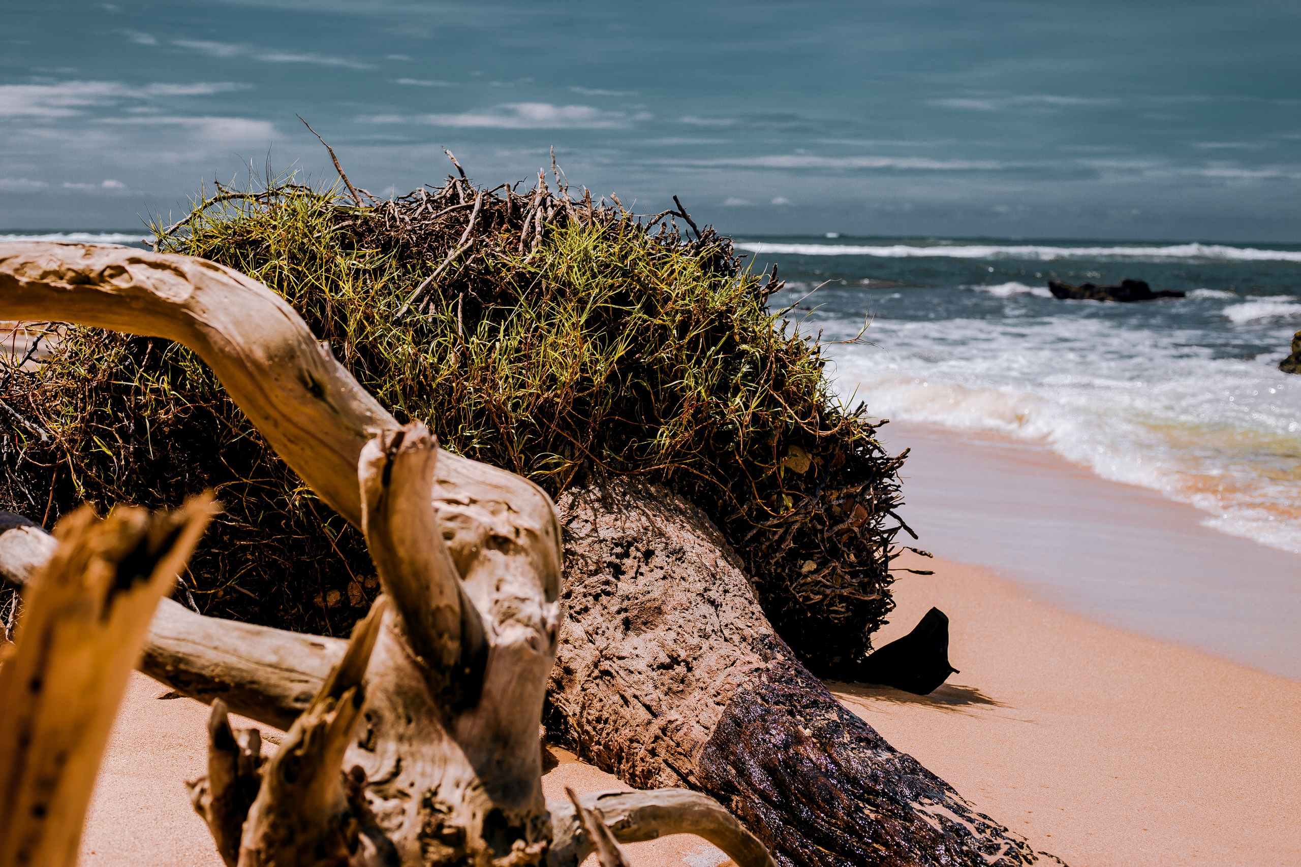 Sri Lanka. Art Photographer