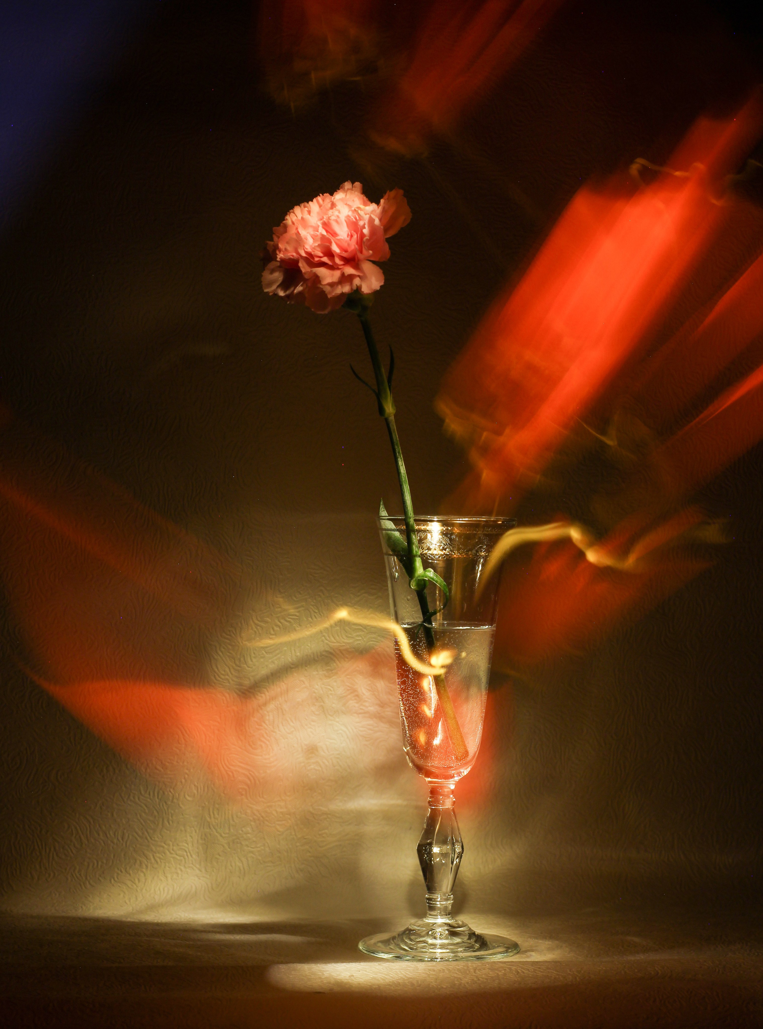 Пазлы. Фотохудожник Татьяна Бойцова