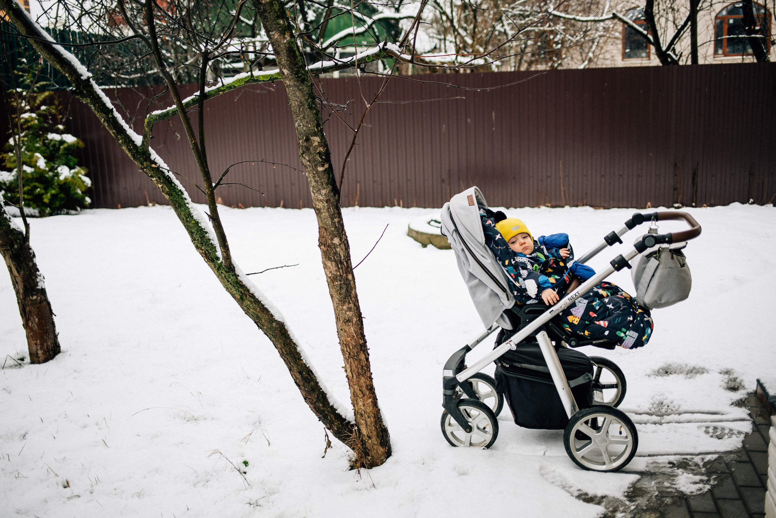 Зимняя прогулка