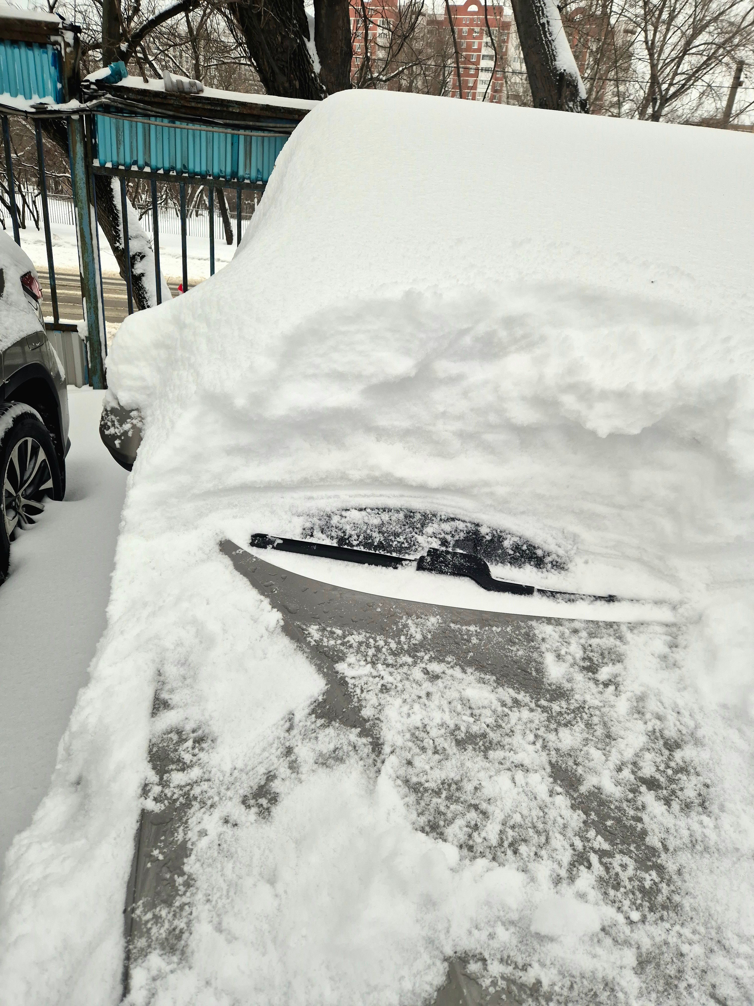 Последние два дня каникул отсыпались и откапывались