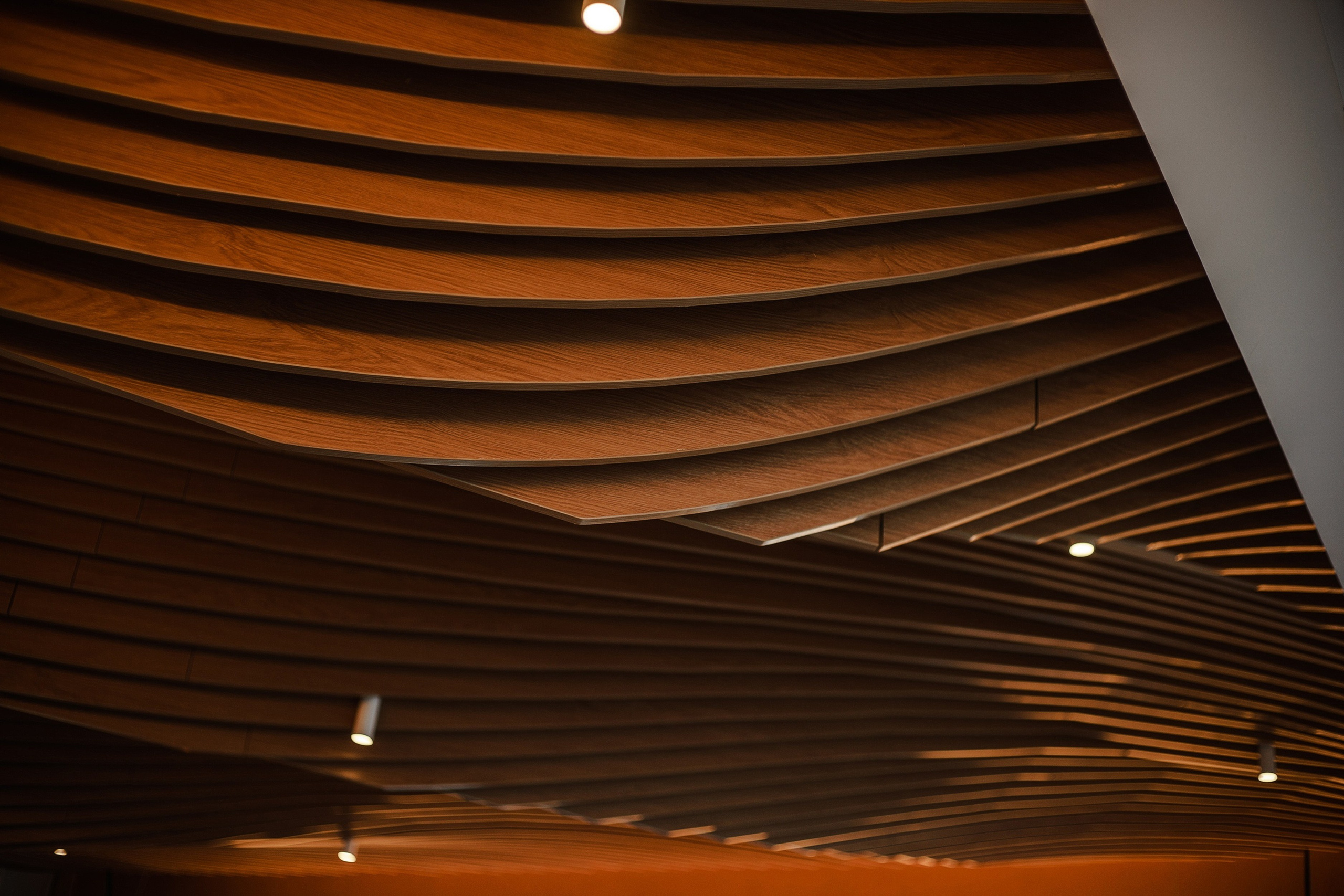 Фотосъёмка для HoReCa. All In Media — фотосъёмка и видеопродакшн