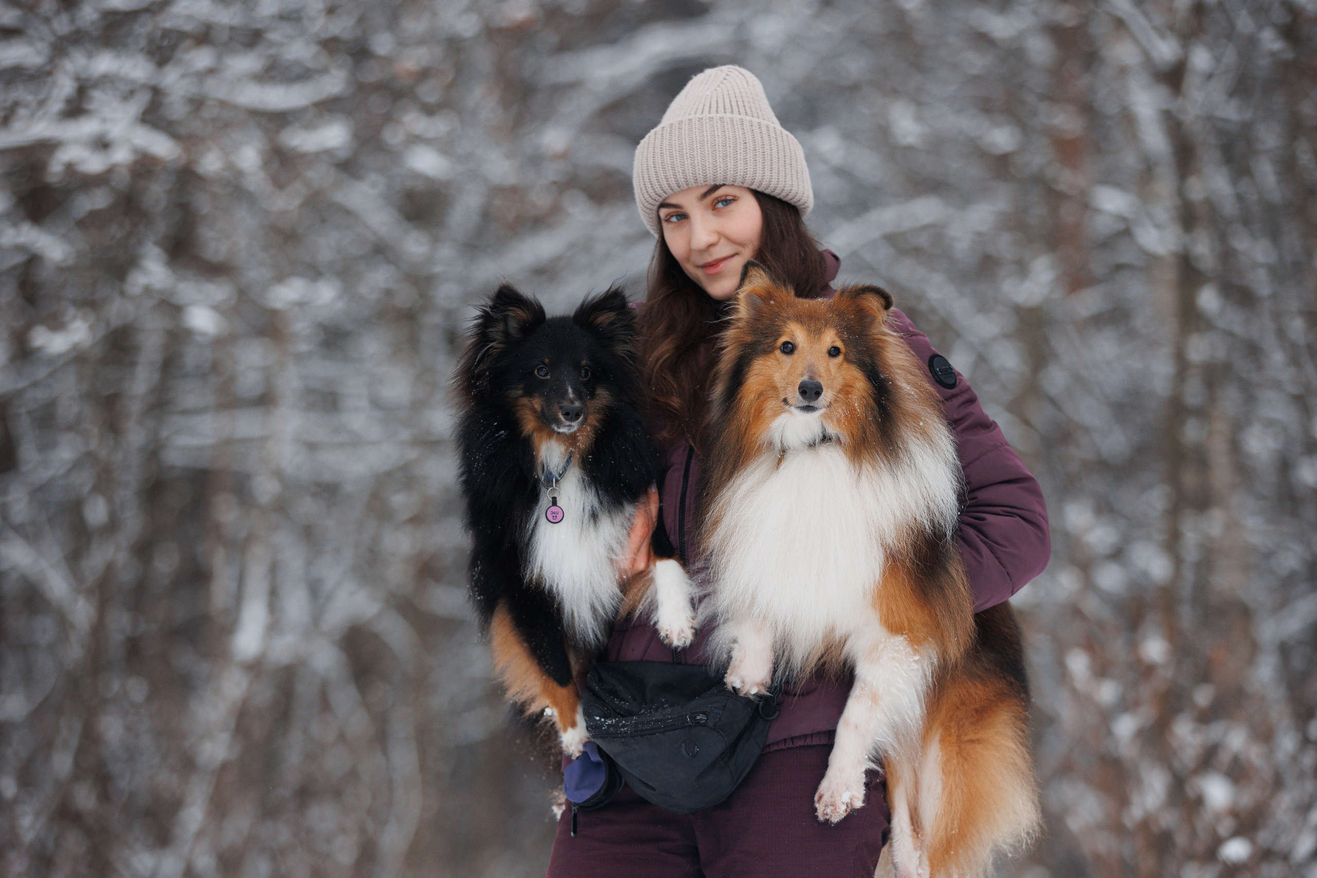 Даша и компания. Фотограф анималист Кристина Карпова, Москва