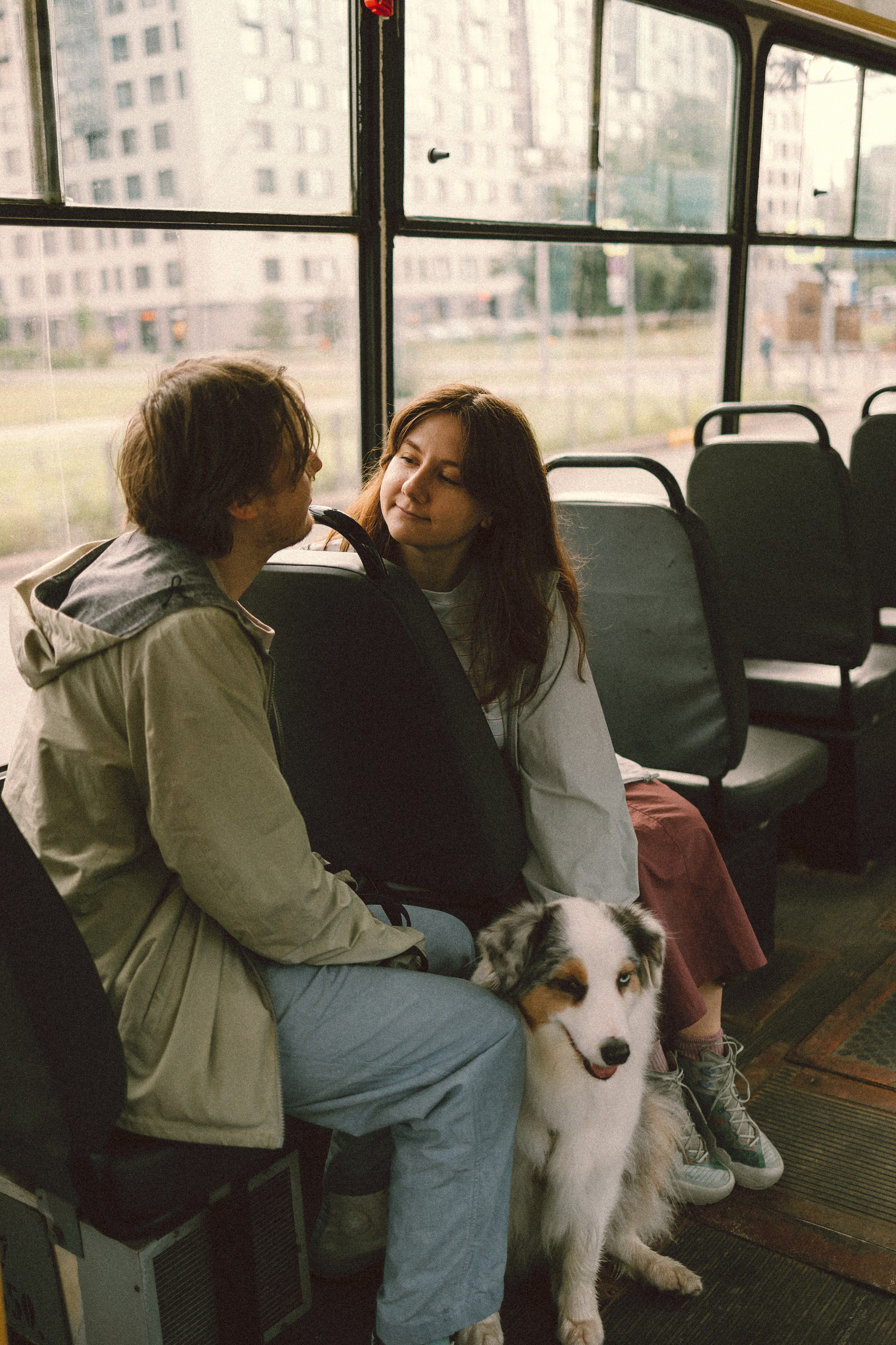 Хлоя, Алёна и Дима. Фотограф анималист Анастасия Пикей