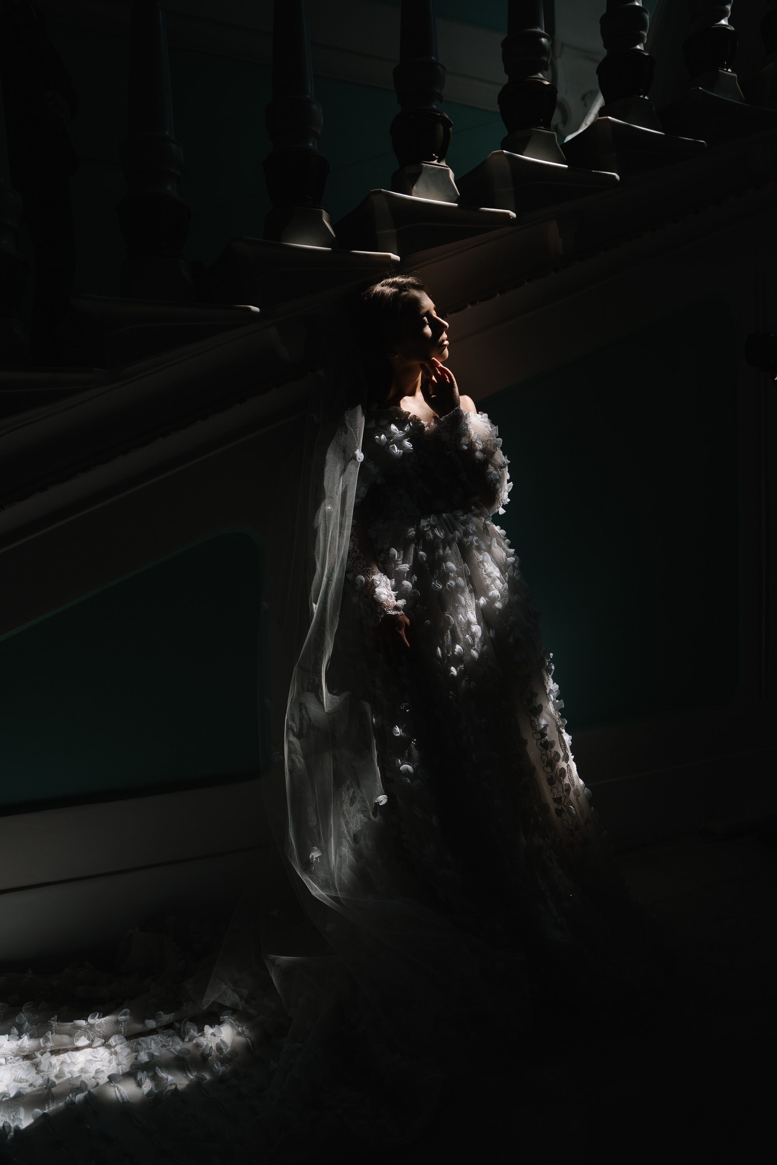 Алена и Владимир. Дмитрий Зайцев свадебный фотограф Тамбов