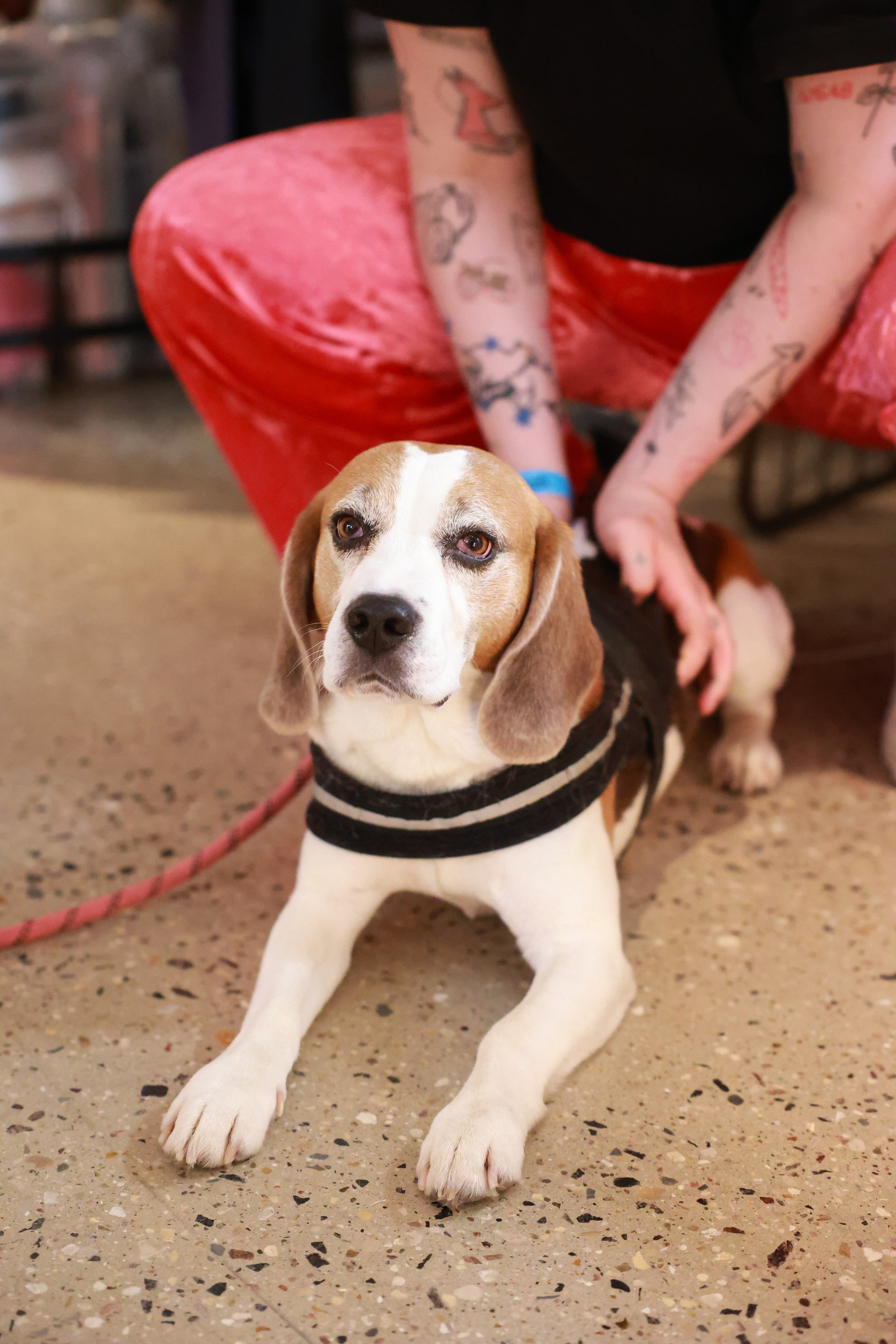 2–3 марта 2024 в пространстве «Три вокзала. Депо» / День 2 / фото Саша Жукова. Фотоотчеты «Ламбада-маркета»