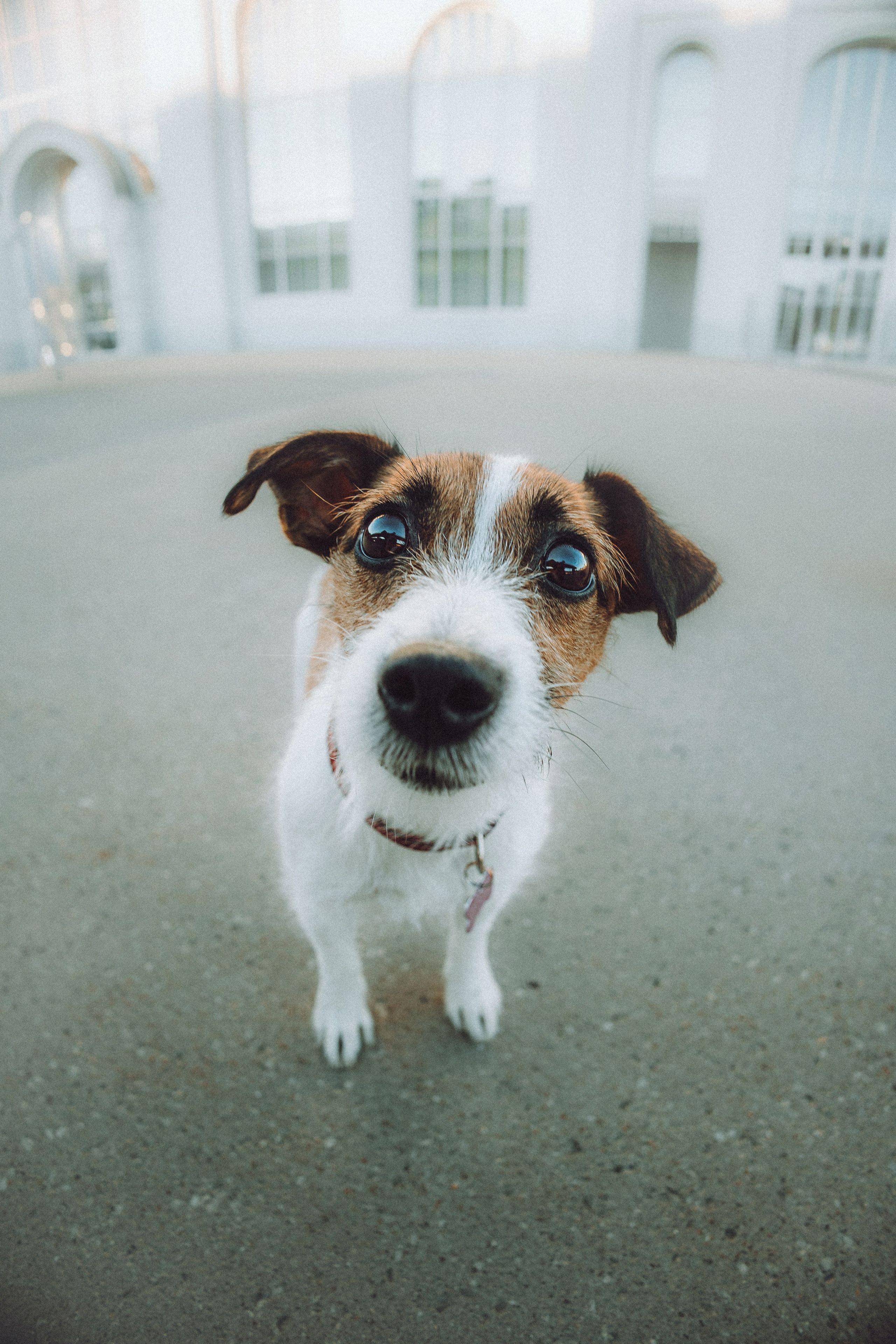 Лера и Рада