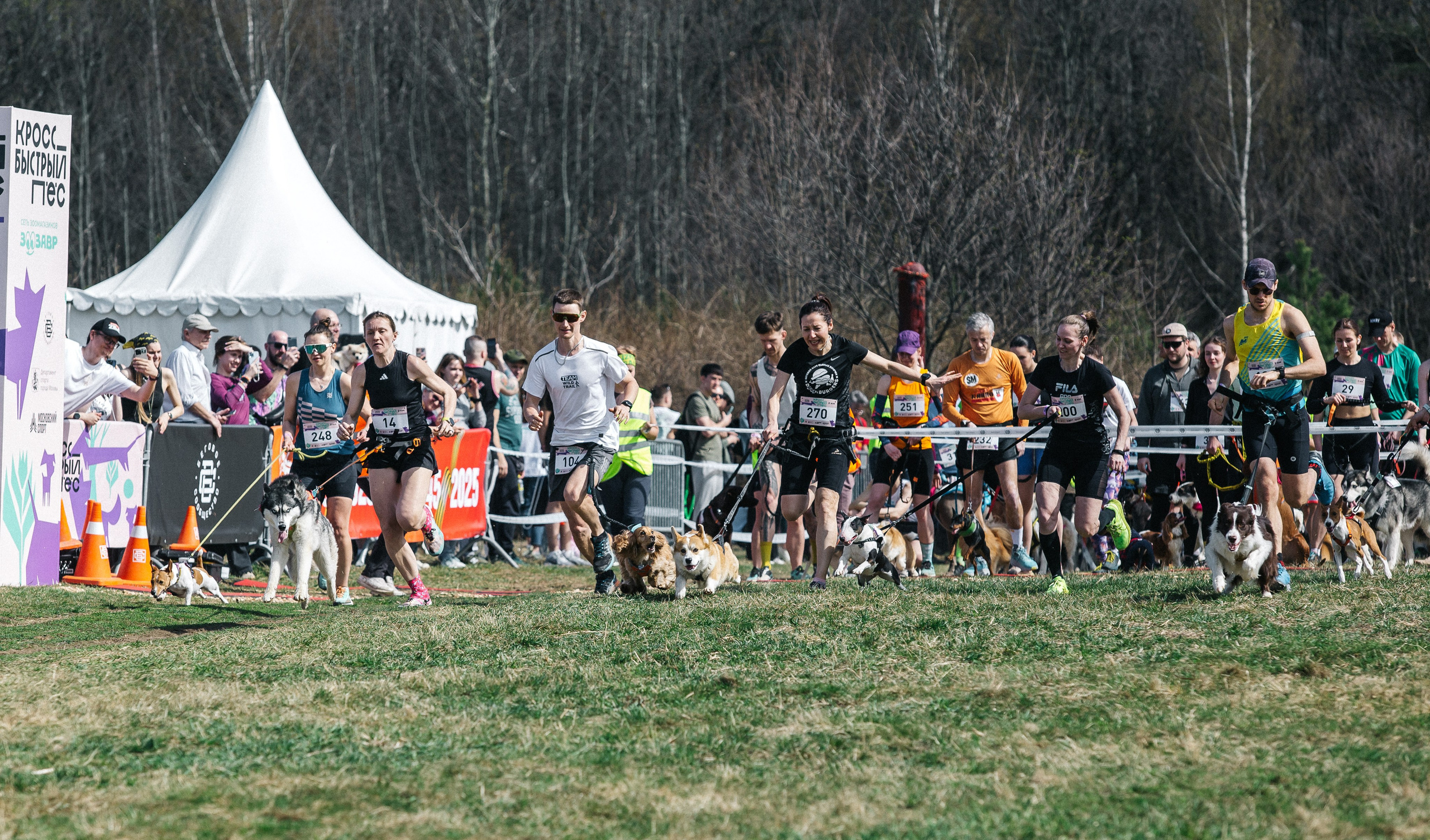 Кросс «Быстрый пёс» 2025. Репортажный фотограф в Москве