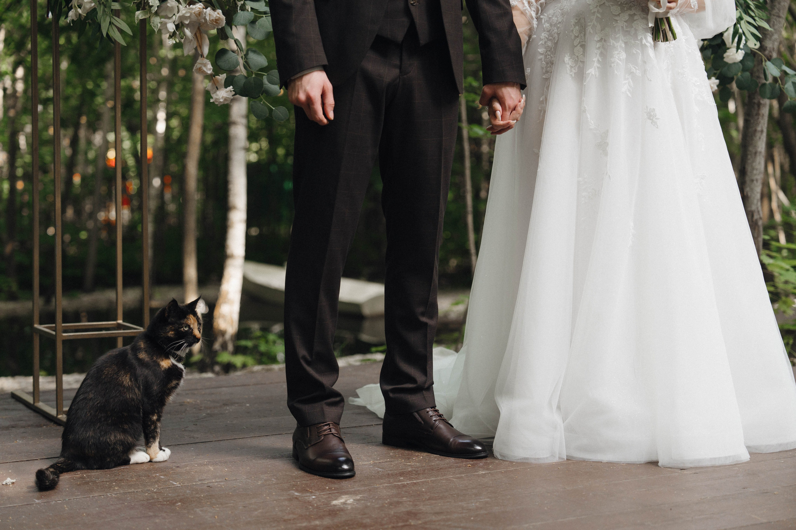 Евгений и Александра. Фотограф/ видеограф Катя Ильина Калуга