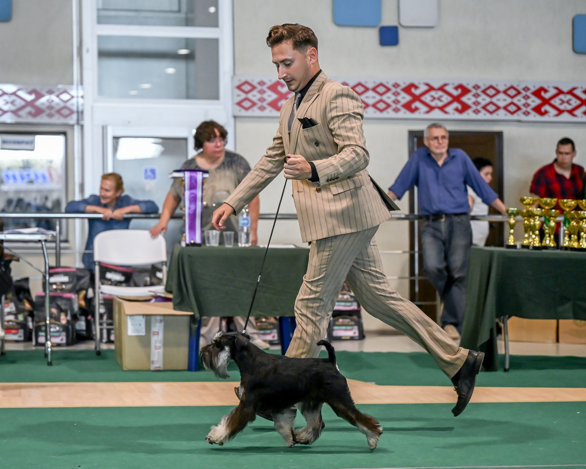 Цафир⚡️DELINSO BALANCE СZAFIR LUMIER