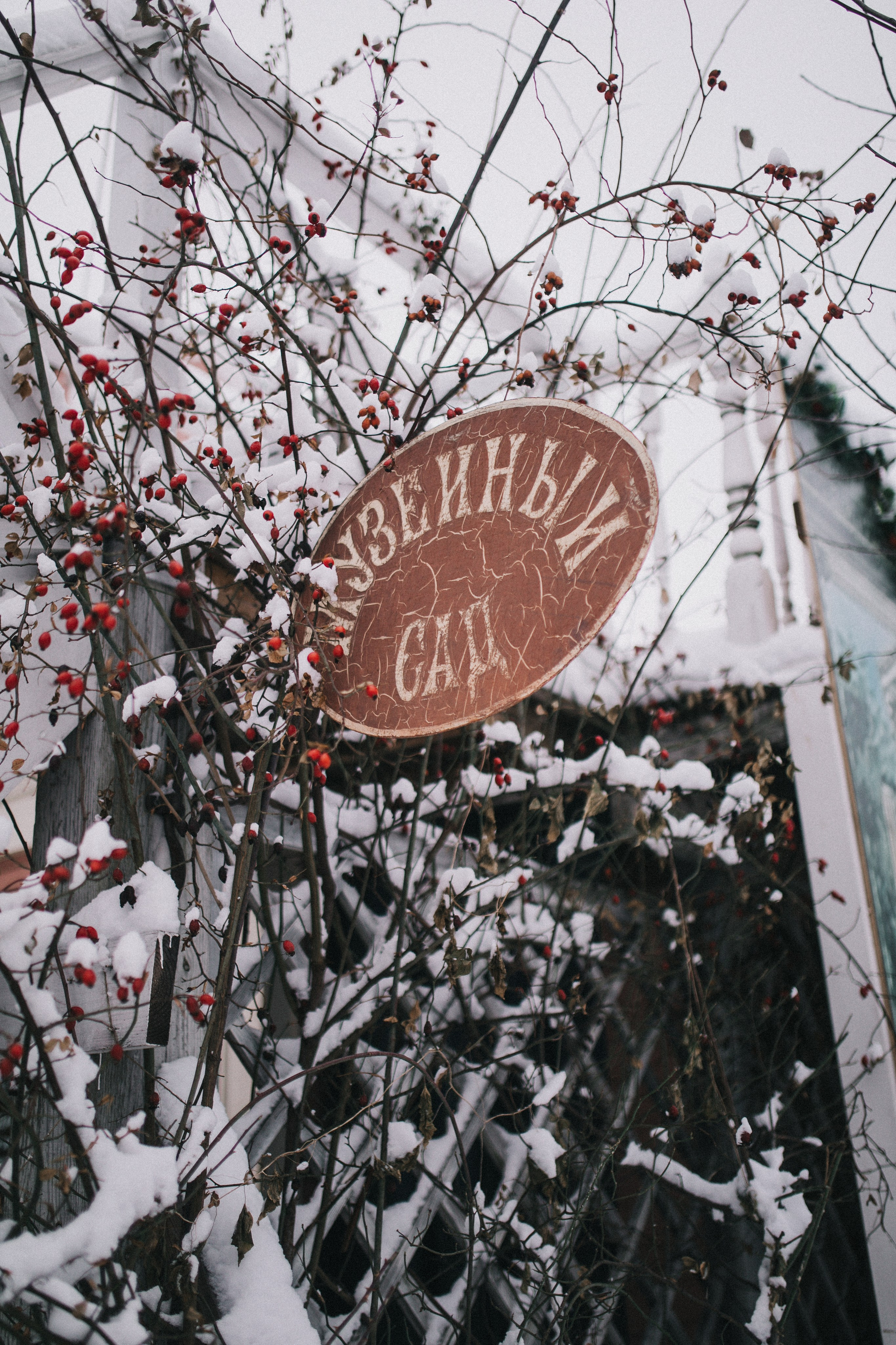 Алина и Ира. Фотограф София Комкина